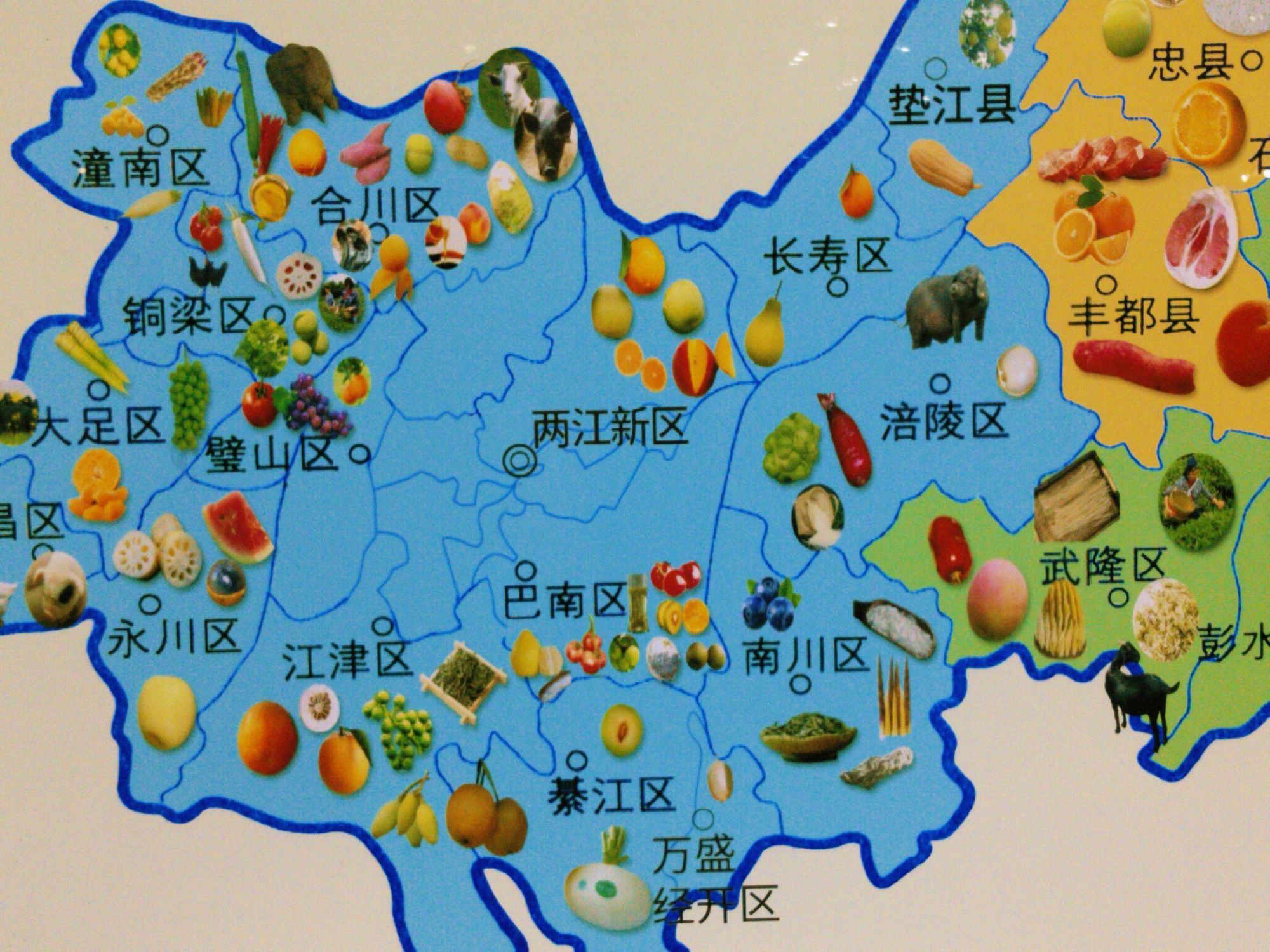 The image is a map of a region in China, likely Chongqing, highlighting local agricultural products of various districts and counties. The map is blue, indicating the region's boundaries, with different counties and districts labeled. Each district or county is adorned with images of local crops, fruits, vegetables, and even livestock. District names are visible, such as "潼南区," "合川区," "铜梁区," "璧山区," "永川区," "江津区," "巴南区," "綦江区," "南川区," "万盛经开区," "武隆区," "彭水," "垫江县," "长寿区," "涪陵区," "丰都县," and "忠县". The crops and livestock represented include citrus fruits, various vegetables, grains, and farm animals. The location of the city of Yuzhong District, China, is not explicitly marked on this map.
