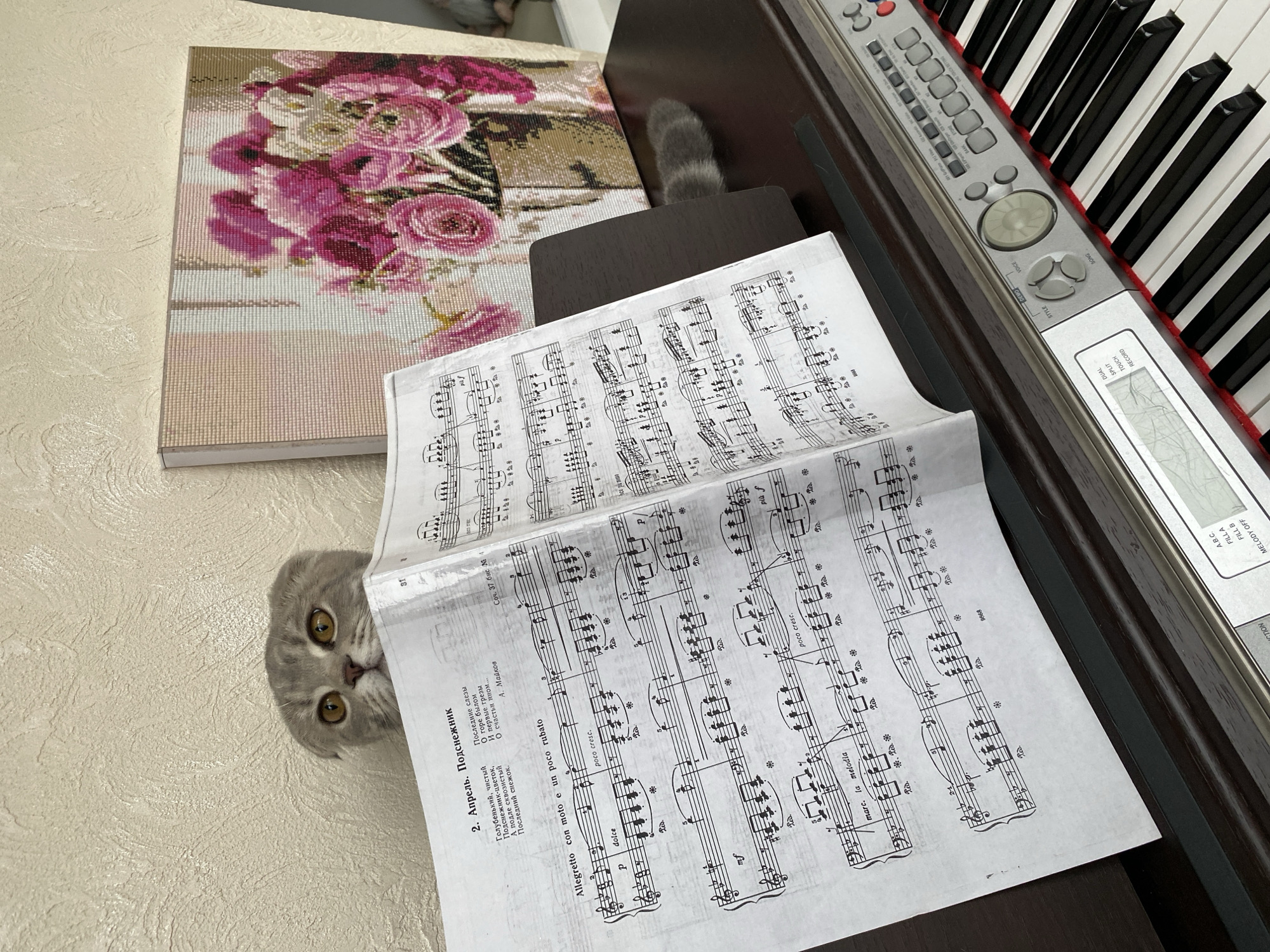 A medium-angle shot shows a gray cat with yellow eyes peering from behind a sheet of music, which is resting on a dark-colored piano. The piano is on the right side of the image. A pixelated flower decoration lies to the left of the music. The cat is positioned in the lower-left corner, looking upwards. The music sheet is filled with musical notes and annotations in black ink. The piano is visible in the background, with its keys and control panel partially visible.