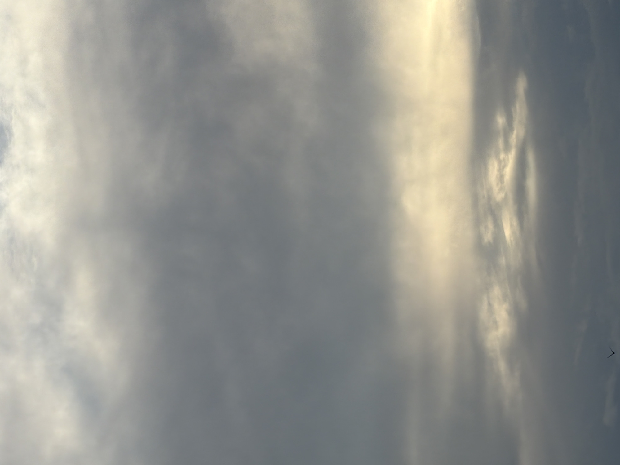 The image is a low-angle, full-frame shot of a cloudy sky over Nesebar, Bulgaria. The clouds are varied, with darker, more solid formations in the lower and upper portions of the frame, interspersed with lighter, more diffuse bands of cloud that appear to be illuminated from behind. A horizontal band of brighter, yellowish light is visible roughly in the middle of the image, suggesting the presence of the sun, likely low on the horizon. Two small, dark shapes, likely birds in flight, are visible in the lower portion of the frame, one more prominent than the other. The overall scene evokes a sense of a subdued or overcast sky, possibly during dawn or dusk.