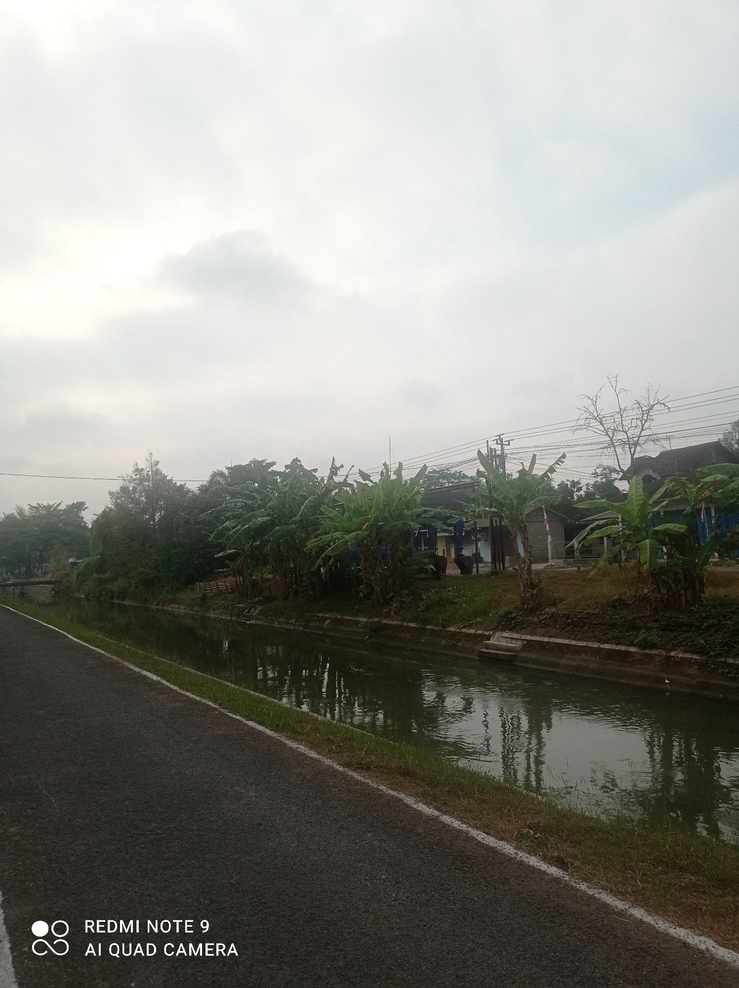 The image depicts a serene canal flowing alongside an asphalt road in Cipawon, Indonesia. The canal is bordered by lush green grass and a concrete embankment. Banana trees and other vegetation line the opposite bank of the canal, with several houses and buildings visible in the background. The sky is overcast with clouds, creating a soft, diffused light. The road appears to be a path or walkway, free of vehicles or pedestrians. The overall atmosphere is tranquil and suggests a rural or suburban setting within Cipawon. The bottom left corner of the image displays the branding "REDMI NOTE 9 AI QUAD CAMERA".