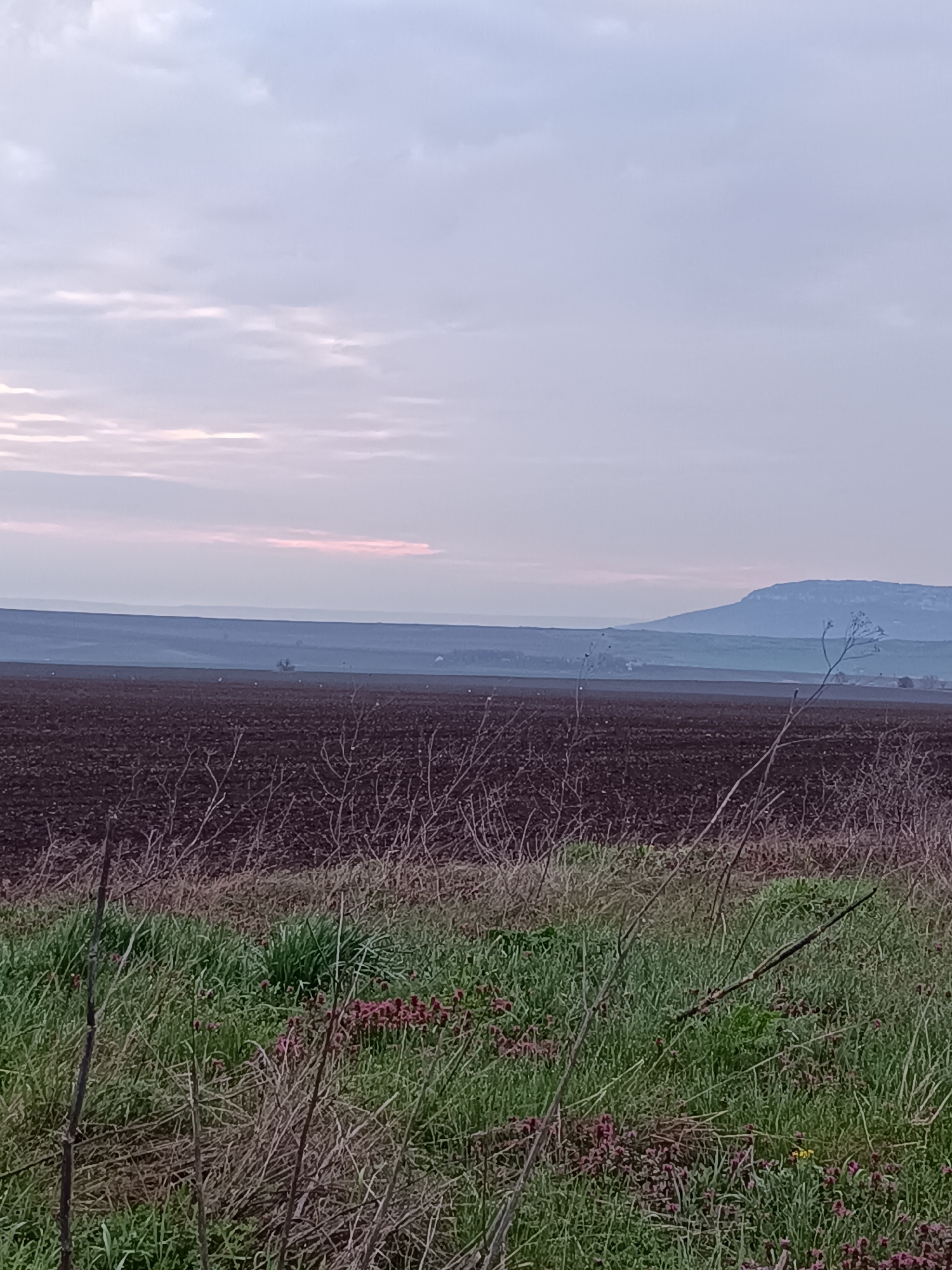 The image shows a rural landscape in what appears to be Vasil Drumev, Bulgaria. In the foreground, there's a mix of green grass and dry, brown vegetation. Behind this, a large, plowed field of dark brown soil stretches towards the horizon. In the distance, a hazy horizon line reveals a low-lying range of hills, with a more prominent hill or mountain visible on the right side. The sky is overcast with grey and pale pink-tinged clouds. There are no people visible in the scene. The overall impression is one of a tranquil, undeveloped area.