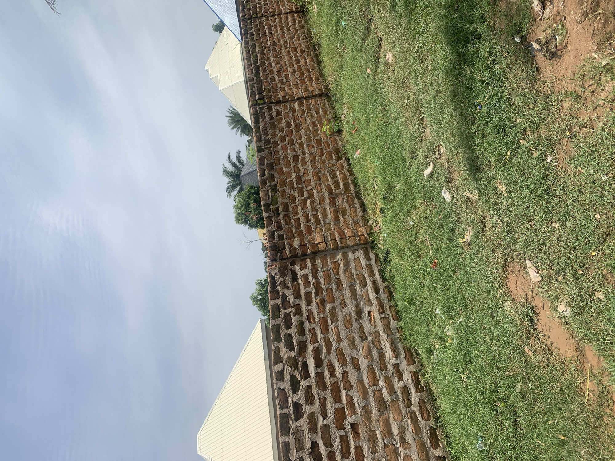 In Jauro Yinu, Nigeria, a red brick wall stretches diagonally across the frame from the lower left to the upper right. The wall appears partially constructed or weathered, with visible mortar between the bricks. Behind the wall, the roofs of two distinct buildings are visible. The building on the left has a light-colored, pyramidal roof with corrugated metal sheeting, while the building on the right features a similar pyramidal roof, but with blue corrugated metal. A line of palm trees and other foliage can be seen behind the wall, interspersed with the structures. The ground in the foreground is covered with green grass, showing patches of bare earth and scattered litter, including plastic bottles and paper. The sky above is overcast with a light grey hue.