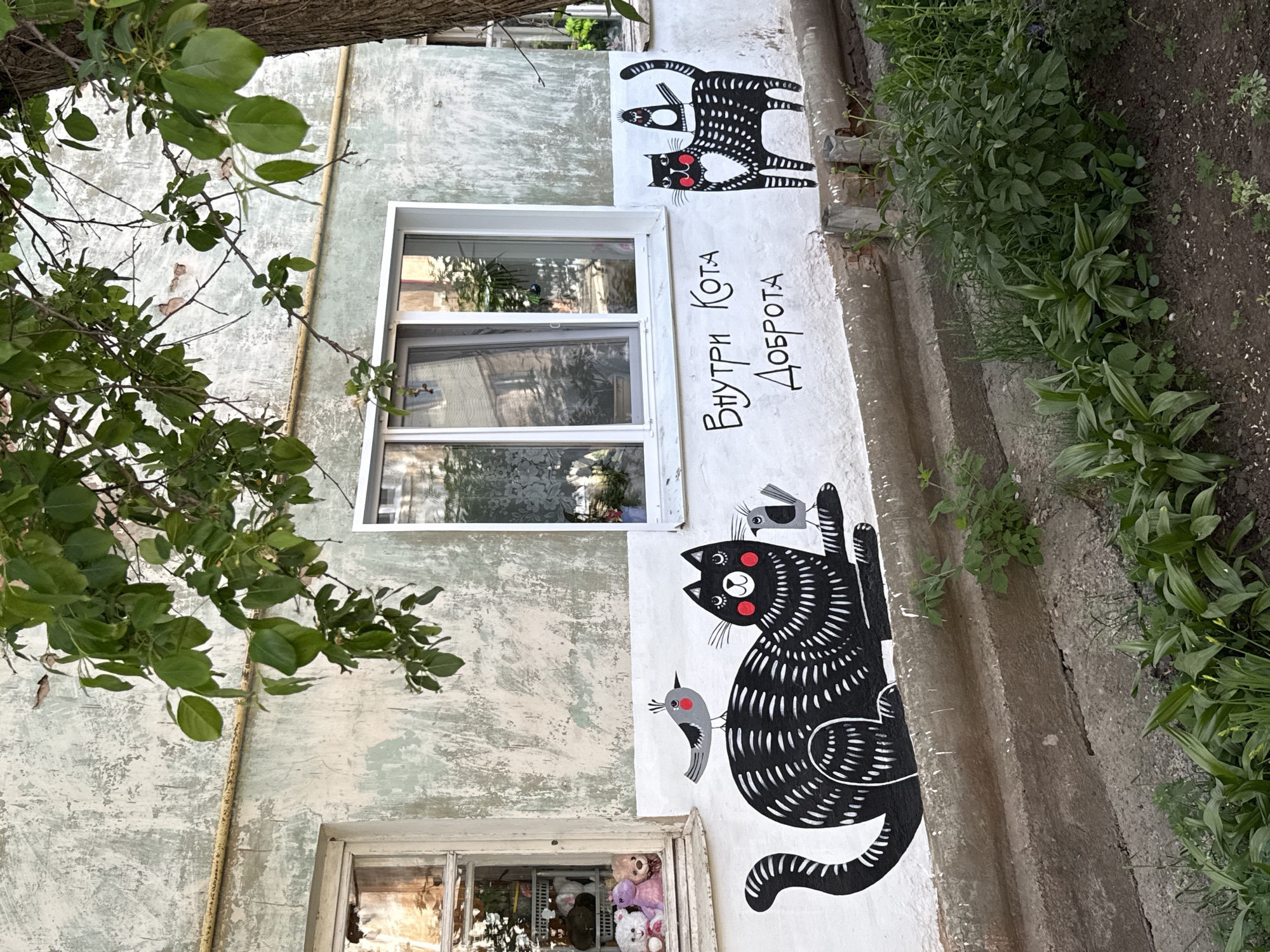 An exterior shot of a building, likely residential, in Votkinsk, Russia, features a painted mural. The mural depicts two stylized black cats with red cheeks, one stacked atop the other. Two gray birds are painted near the bottom cat. The phrase "Внутри Кота Доброта" (Inside the Cat, Kindness) is painted between the murals. A white-framed window is situated to the left of the text. A smaller window below reveals a collection of stuffed animals. Green foliage and a section of tree branches frame the scene.