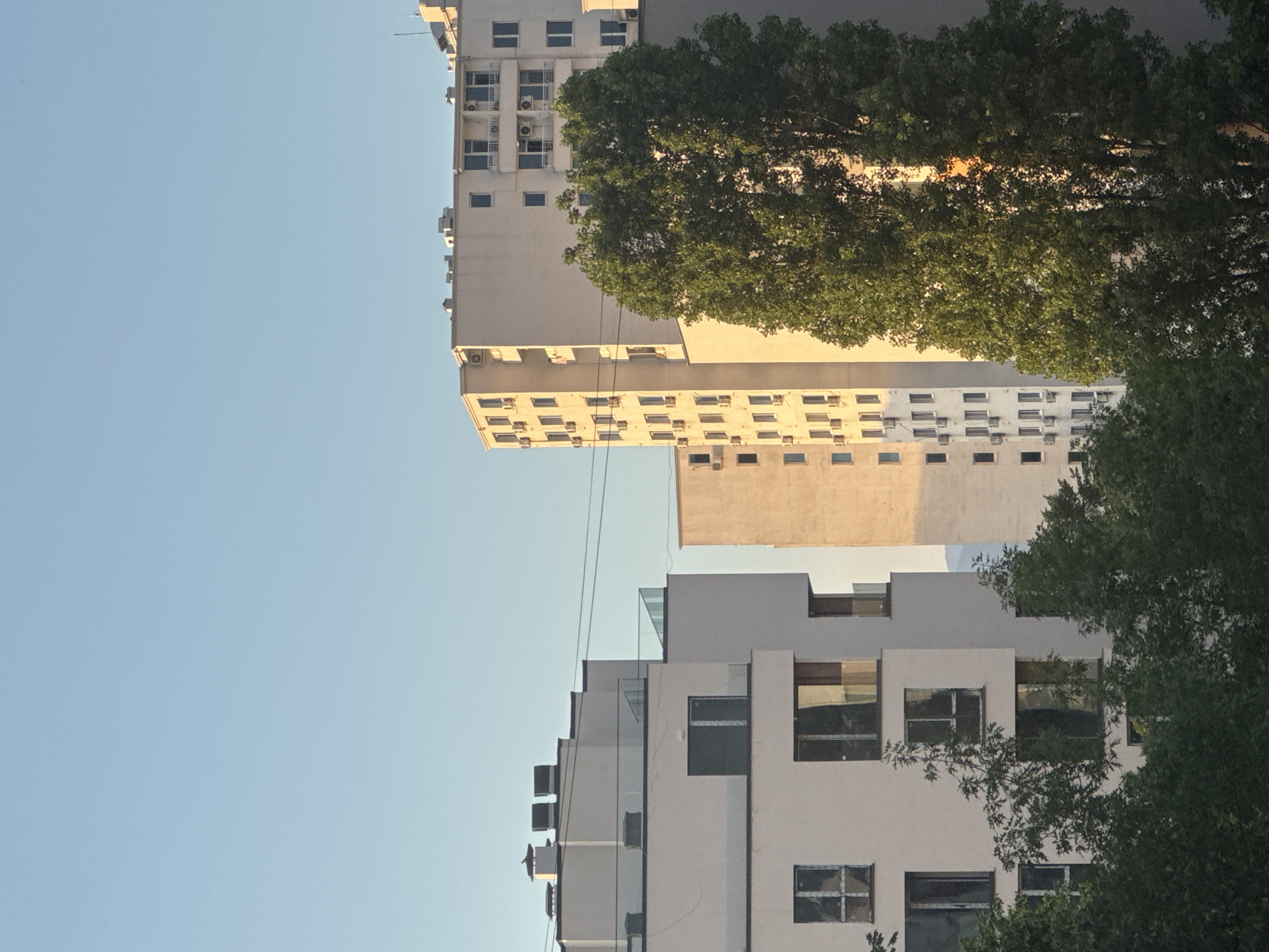 The image captures a view of modern apartment buildings in Sofia, Bulgaria, under a clear, pale blue sky. On the left, a contemporary, multi-story building with white facades and glass railings is visible, featuring numerous windows and balconies. Chimneys and air conditioning units are present on its roof. To the right, a taller, cream-colored apartment building rises, also adorned with many windows and air conditioning units. A large, lush green tree stands prominently in the foreground, partially obscuring the right side of the taller building. The sunlight casts a warm glow on the facades of the buildings.
