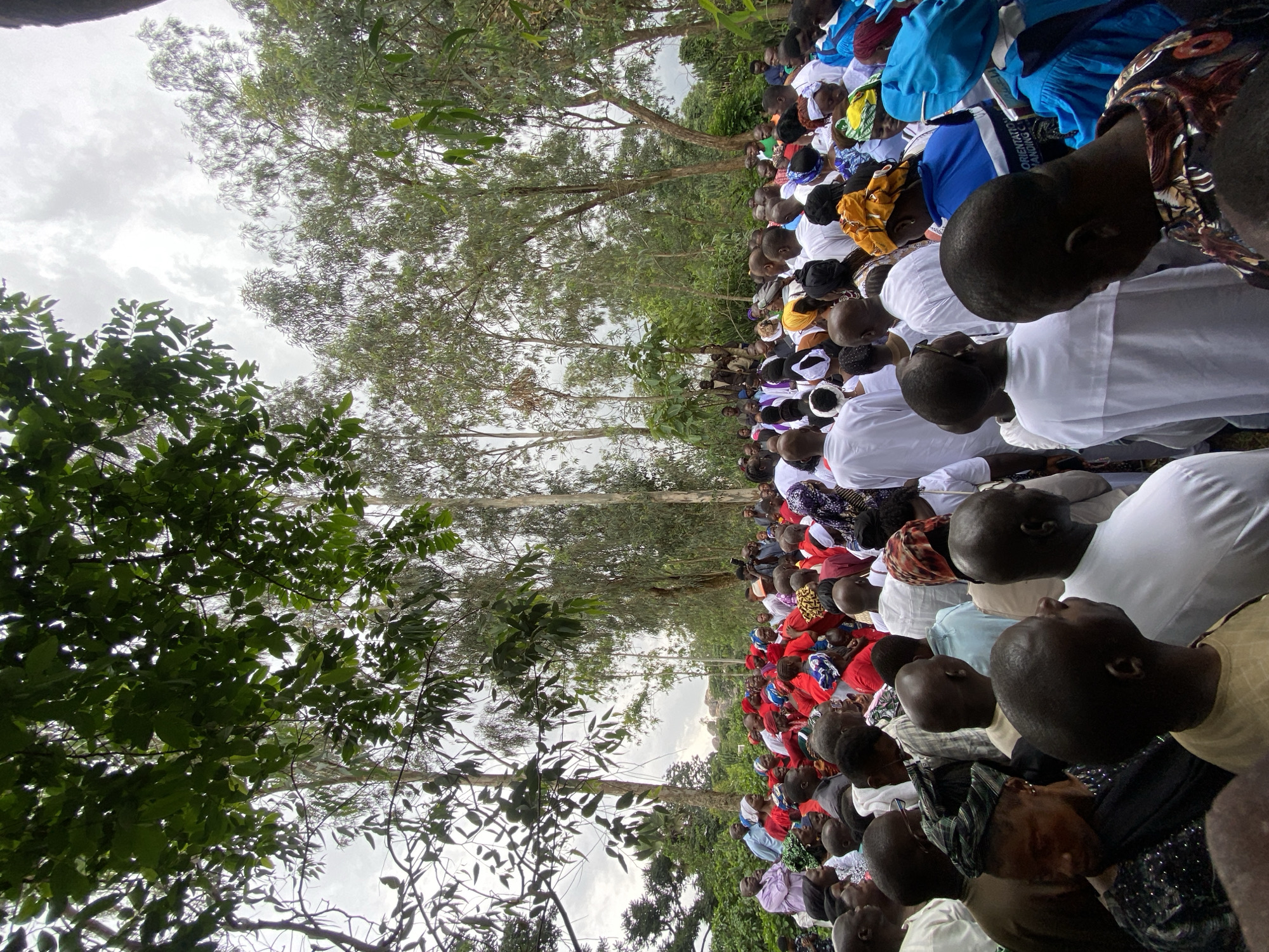 An outdoor gathering of approximately 100 people, primarily adults, is depicted in Riyom, Nigeria. The individuals are dressed in a mix of white and brightly colored attire, many with head coverings. The scene appears to be a communal event, possibly a religious service or a celebration, given the assembled crowd and their festive clothing. The background consists of tall, slender trees with dense green foliage, suggesting a natural or semi-rural environment. The sky is overcast, with diffused light indicating a cloudy day. The perspective is from a low angle, looking upwards through the trees towards the sky, with the crowd filling the lower portion of the frame. The overall impression is of a community event taking place in a natural setting under a cloudy sky.