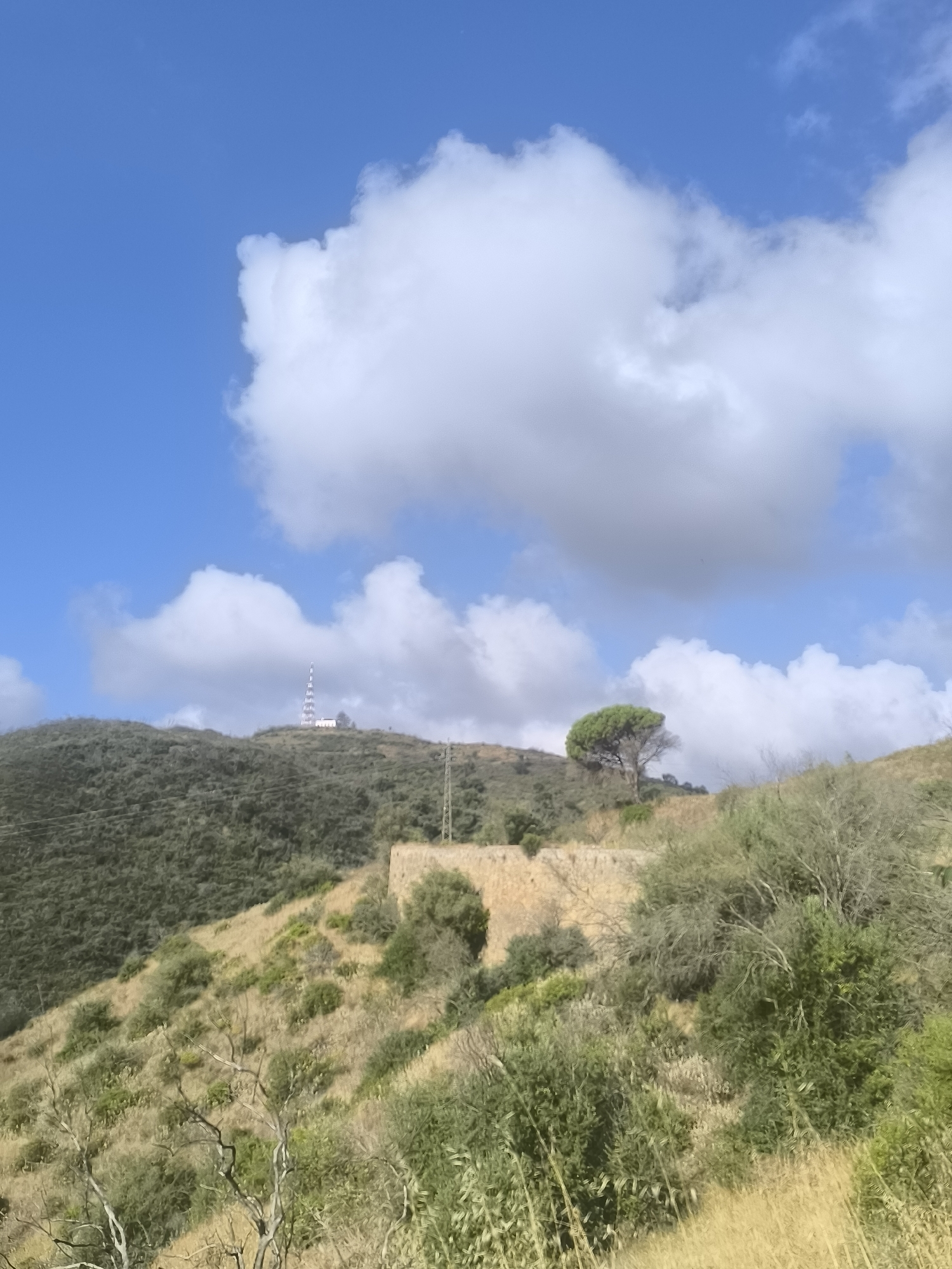 The image depicts a rural, hilly landscape under a bright blue sky dotted with white clouds. The terrain is covered with dense green vegetation and dry, golden grasses. A prominent feature on a distant hilltop is a white tower with a lattice structure, likely a telecommunication tower, and a small white building. Closer to the foreground, a single, mature pine tree stands on a ridge, its dense green foliage contrasting with the dry landscape. A concrete or stone wall is visible on the hillside, partially covered by vegetation. Power lines and a utility pole are also present. The scene appears to be a natural or semi-natural environment, possibly on the outskirts or in a less developed area of Palmela, Portugal, given the presence of the tower which are common on elevated areas. No people or animals are visible in the image.