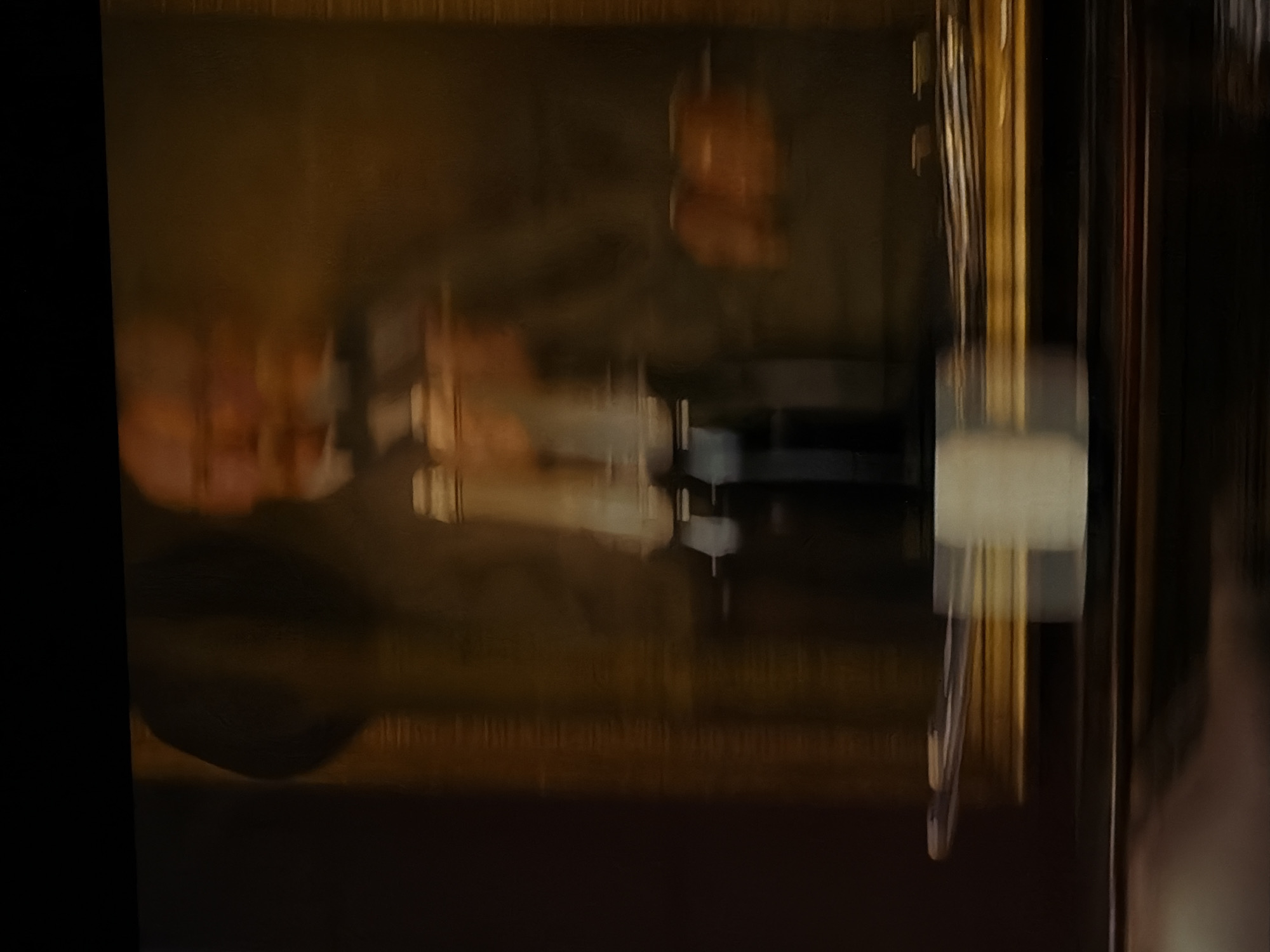 The blurry, dark image predominantly features reflections of subjects and objects on a large, reflective surface, likely glass or a polished dark material. The central part of the image contains indistinct reflections of at least two people. One reflection, towards the left, vaguely shows a fair-skinned face, possibly with facial hair like a mustache or beard. Other highly blurred shapes and forms are also visible as reflections.
On the right side of the frame, there are vertical, gold or brass-colored elements, possibly decorative strips, a frame, or part of a furniture piece. Below these, a small, light-colored, rectangular object is discernible, which might be a label holder, a small fixture, or a light source. In the upper central portion of the reflections, a faint, blurry, orange-brown object appears to be hanging. The background behind the reflective surface is completely obscured by darkness and blur.
The scene appears to be an indoor setting with very dim lighting, suggesting it is evening or night. The image is significantly out of focus, underexposed, and suffers from motion blur, making precise identification of details challenging. No visible text can be discerned. The location context provided is Sofiivska Borshchahivka, Ukraine, although no specific visual cues within the image confirm this location.