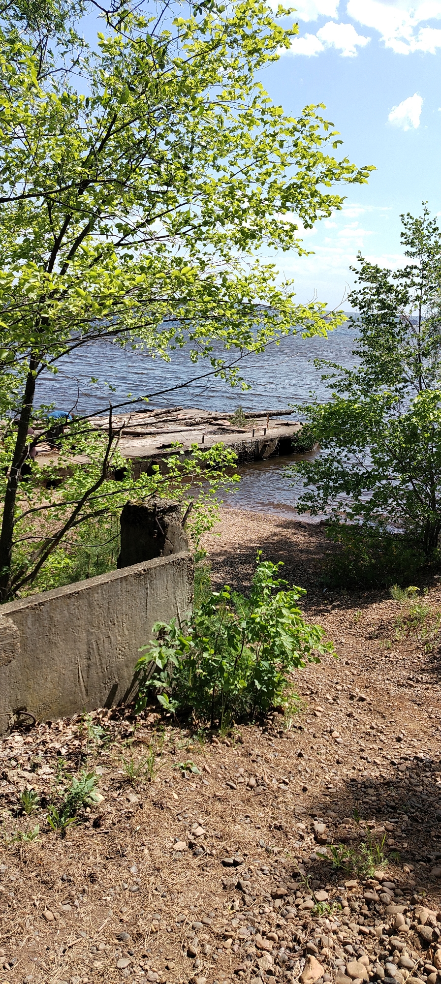 The image depicts a shoreline scene, likely in Noviy, Russia, based on the location provided. A concrete barrier wall with some damage runs partially into the frame on the left. A variety of green vegetation, including shrubs and trees with young leaves, grows around the wall and along the edge of the scene. The ground is covered with small rocks and pebbles, suggesting a natural or lightly developed area. In the background, there is a body of water, likely a lake or river, with a concrete pier or structure extending into it. The pier is partially dilapidated, with some missing sections and scattered debris. The sky is partly cloudy. No people or animals are visible in the scene.