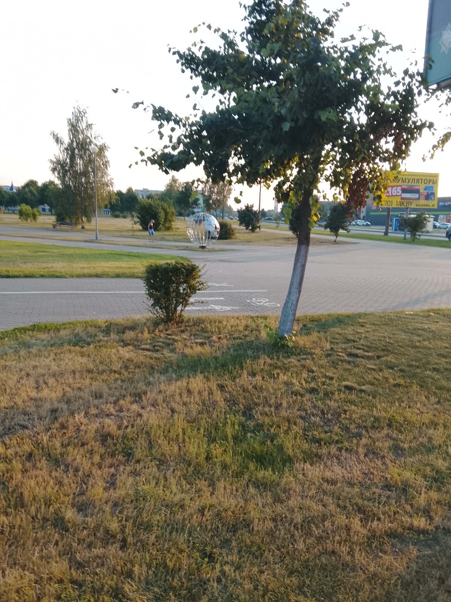 This media file depicts an outdoor scene, likely a park or a recreational area, in Zhlobin, Belarus. The foreground is dominated by a patch of dry, sun-drenched grass, suggesting a warm, possibly late summer or early autumn day. A young tree with a white-painted trunk stands in the middle ground, its branches reaching towards the sky. To the left of the tree, a neatly trimmed bush adds a touch of green.
In the background, a paved area with a road and a bicycle path is visible. Further back, there are more trees and some buildings, including a large yellow billboard with text in Russian. The billboard advertises "АККУМУЛЯТОРЫ" (batteries) and has the number "165" prominently displayed, along with a website address that appears to be "701.TAK.BY". Another sign, partially visible on the right edge of the image, also seems to be an advertisement.
A silver, spherical structure, possibly an art installation or a decorative element, is situated in the middle-right of the scene. A person, appearing to be a child or a young teenager, wearing blue shorts and a dark top, is walking in the distance near this structure. A lamppost stands tall near the center of the background. The sky is bright and clear, indicating it's daytime, likely late afternoon or early evening due to the warm, golden light illuminating the scene. The overall mood is peaceful and serene.