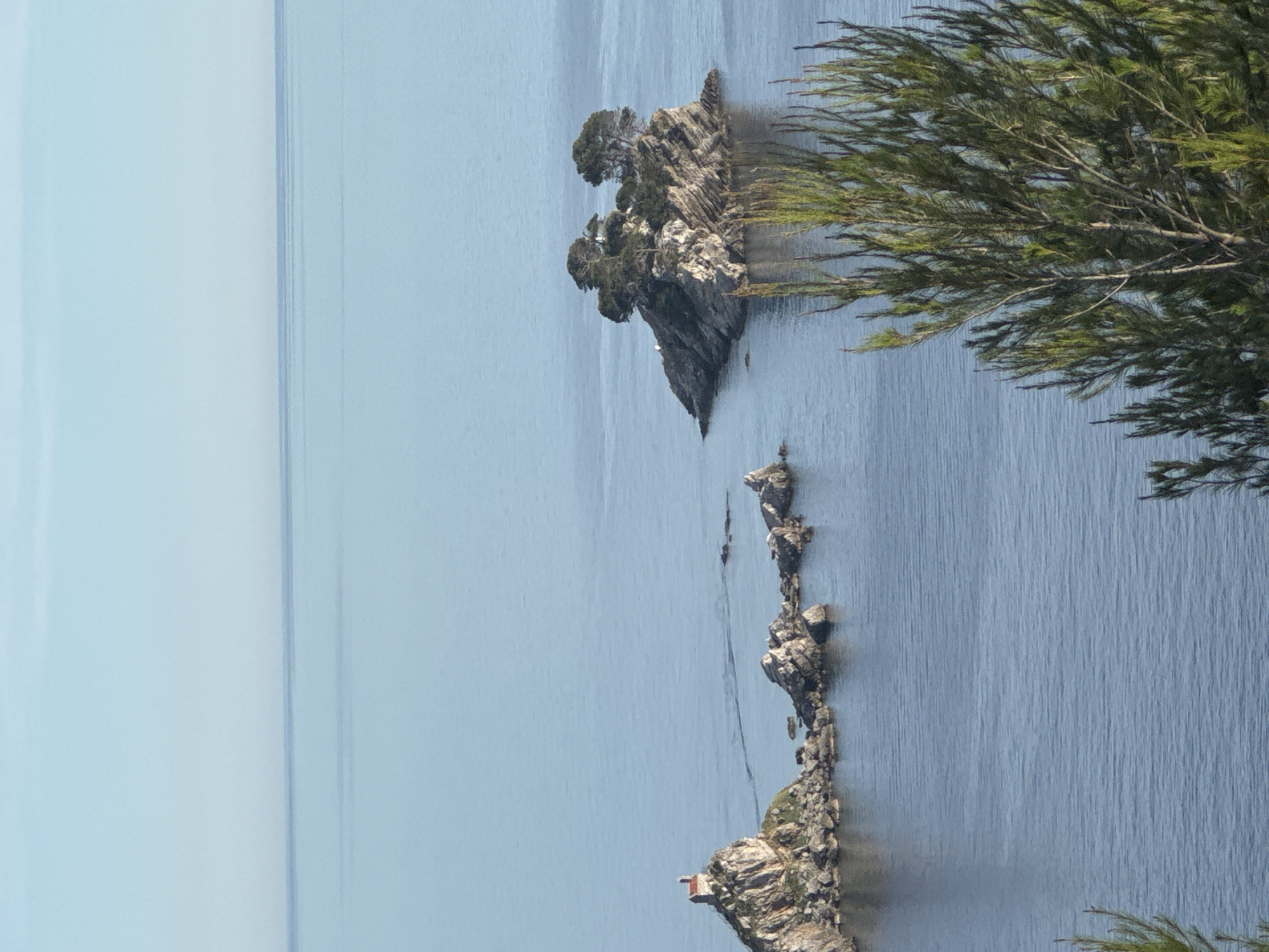 The image depicts a serene seascape with two rocky islets in the calm, blue water. The left islet is topped by a small, red-roofed building, likely a chapel. The right islet is covered with a cluster of trees, their branches reaching towards the sky. The water is still, with subtle ripples reflecting the clear, pale blue sky. In the foreground, the branches of a pine tree are visible, adding a touch of green to the scene. The overall atmosphere is tranquil and picturesque, suggesting a peaceful coastal landscape. The location is identified as Medinski Krš, Montenegro.