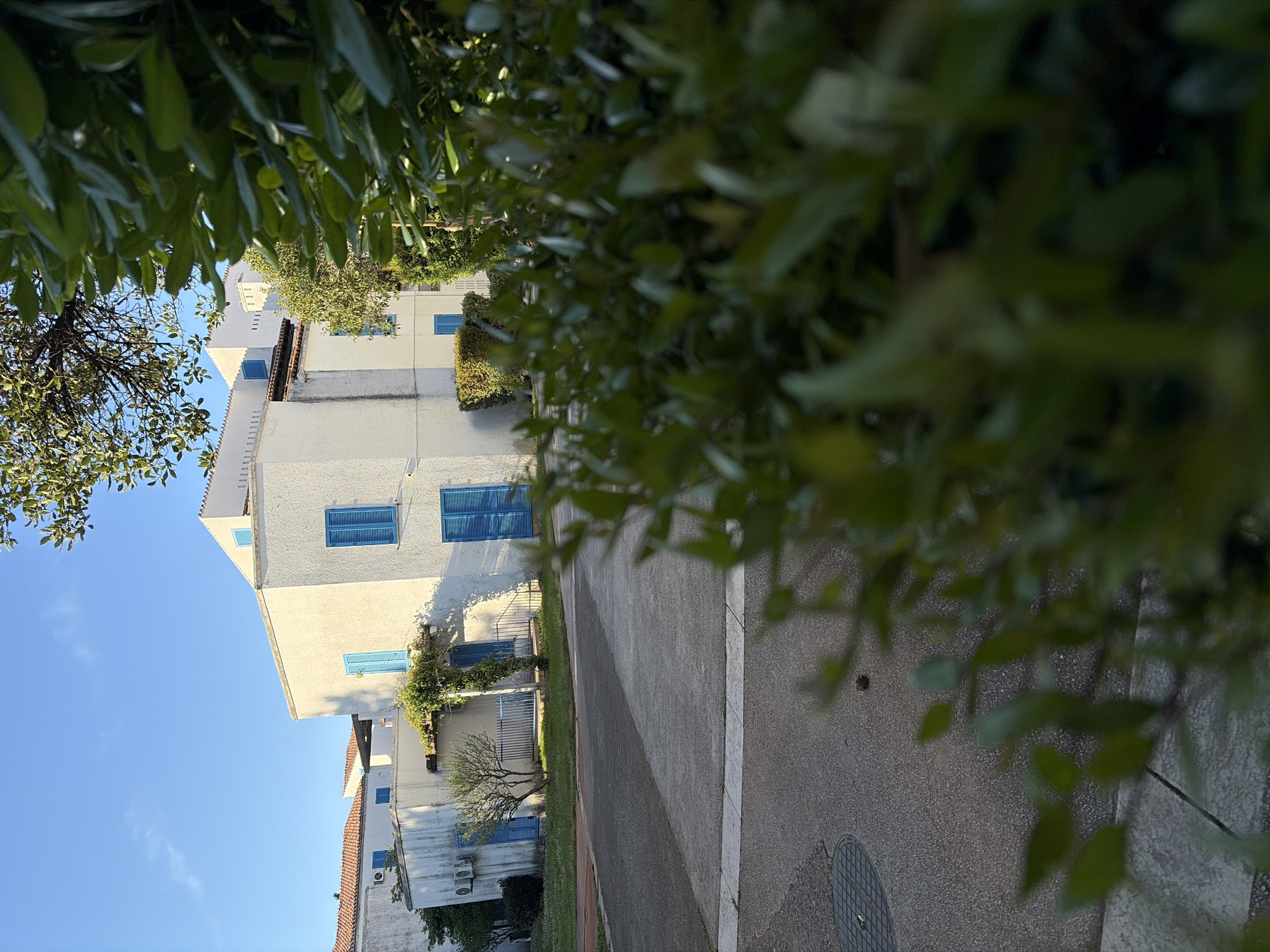 The scene depicts a street in Budva, Montenegro, lined with white buildings featuring blue window shutters. The buildings are several stories high, and some have balconies. A tree with sparse foliage is visible on the left, juxtaposed against a clear blue sky. The street surface is a dark asphalt with a lighter-colored concrete curb. In the foreground, the view is partially obscured by dense green foliage, possibly from trees or shrubs. A manhole cover is embedded in the street. No people are visible in the image. The buildings are clean and well-maintained, suggesting a residential or tourist area.