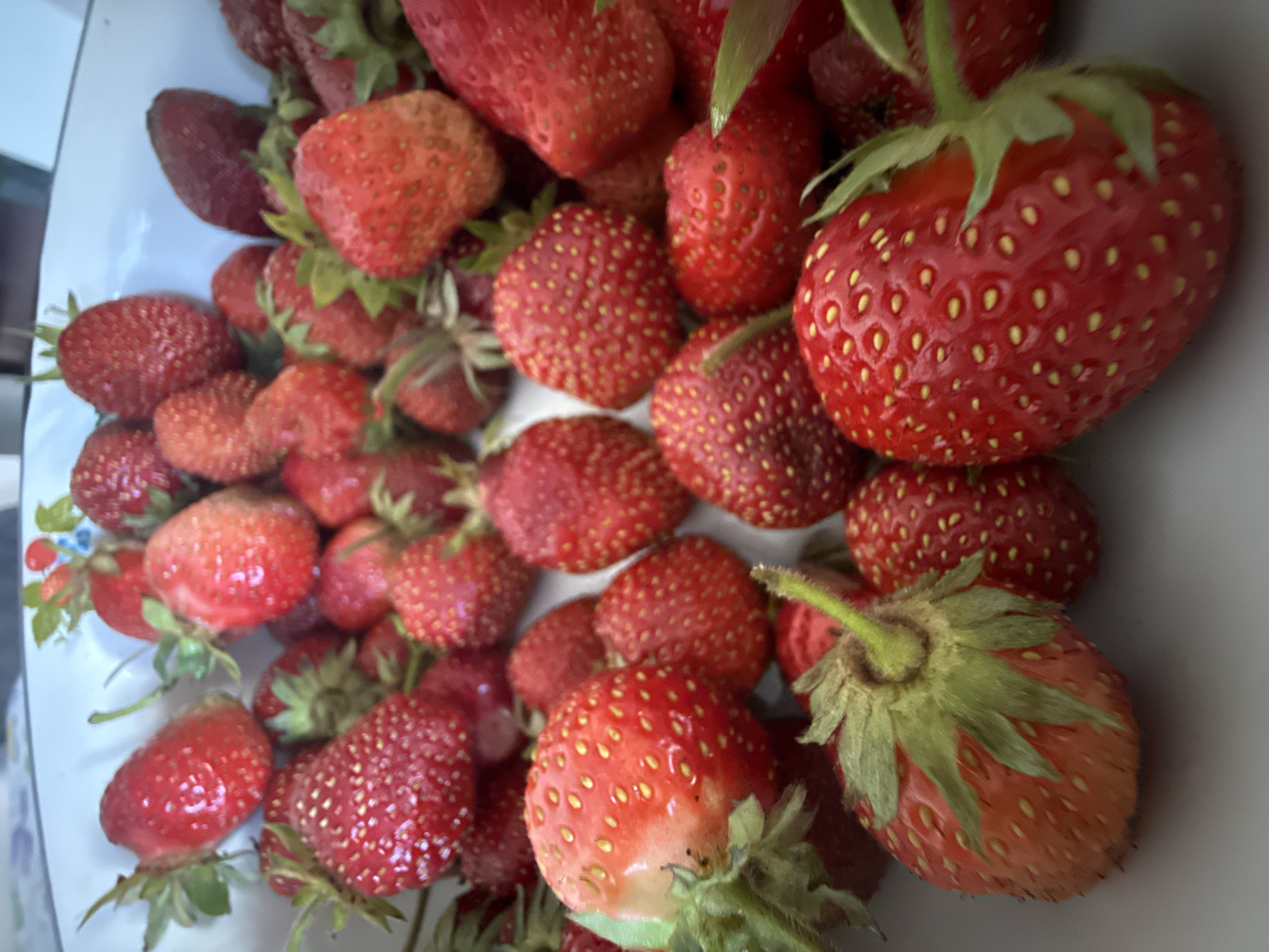 A high-angle, close-up photograph displays a white ceramic bowl filled with numerous fresh strawberries. The interior rim of the bowl exhibits a subtle decorative pattern of small blue and red floral elements. The strawberries are predominantly deep red, with some exhibiting lighter red or orange tones, indicating varying stages of ripeness. Each berry is textured with small, visible yellow achenes (seeds) embedded in its surface. Several strawberries retain their green calyxes (hulls). The fruits appear moist and possess a slight natural sheen. The bowl rests on an indistinct, light-colored surface. The background is shallowly focused and blurred, showing only light, indistinct tones, consistent with an indoor environment. No individuals or specific actions are depicted. Location: Unknown, Unknown.