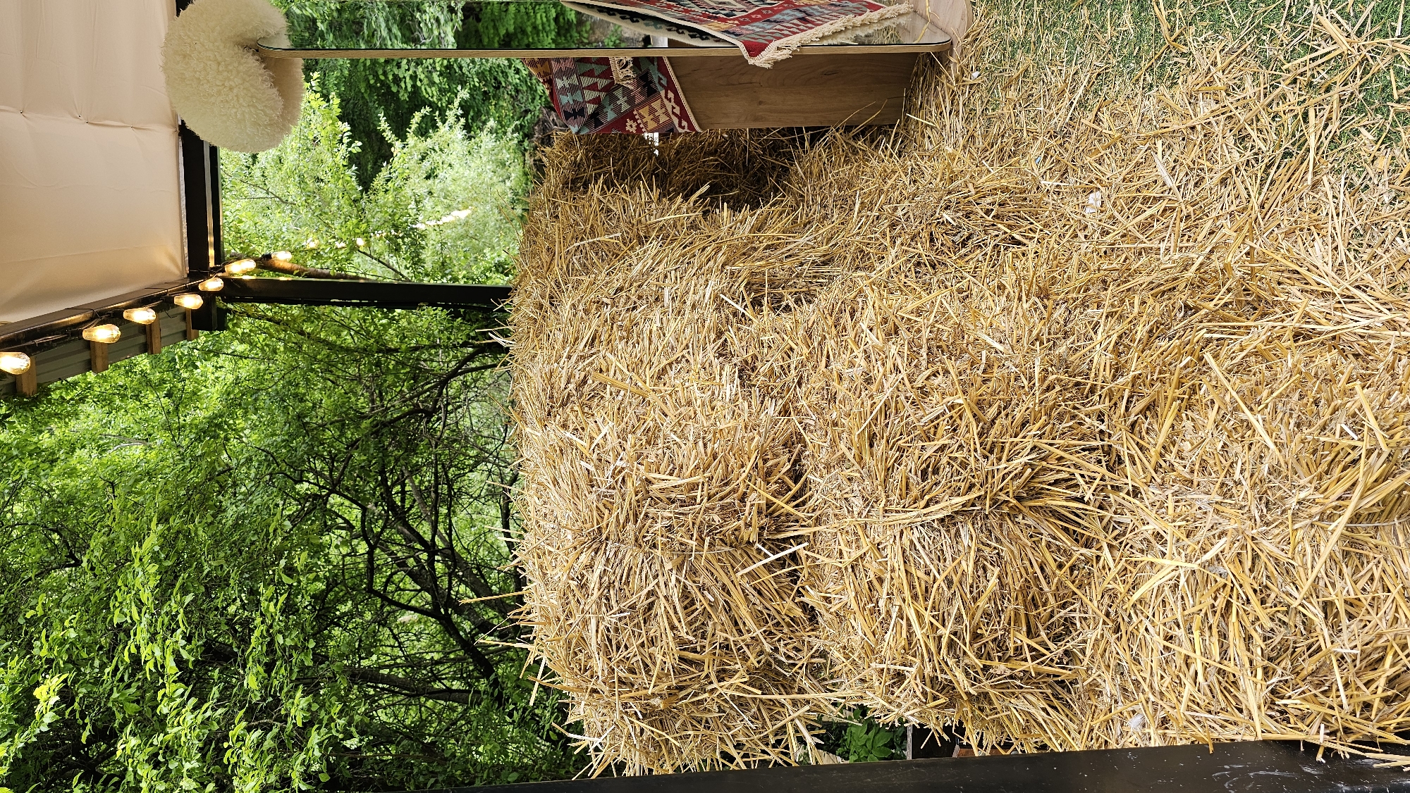 A close-up, eye-level, medium shot captures a large pile of straw bales situated outdoors. The straw is dry and golden yellow, with some loose strands scattered on the green grass below. Behind the straw, a wooden structure is visible, adorned with two colorful, patterned rugs. String lights with exposed bulbs hang overhead from the structure's roof, illuminating the scene. Lush green trees and foliage form a dense backdrop, suggesting a natural or park-like setting. The image is sharp and well-lit, with a shallow depth of field that blurs the background. No people are present in the frame. The location is identified as Kommunstroi, Russia.