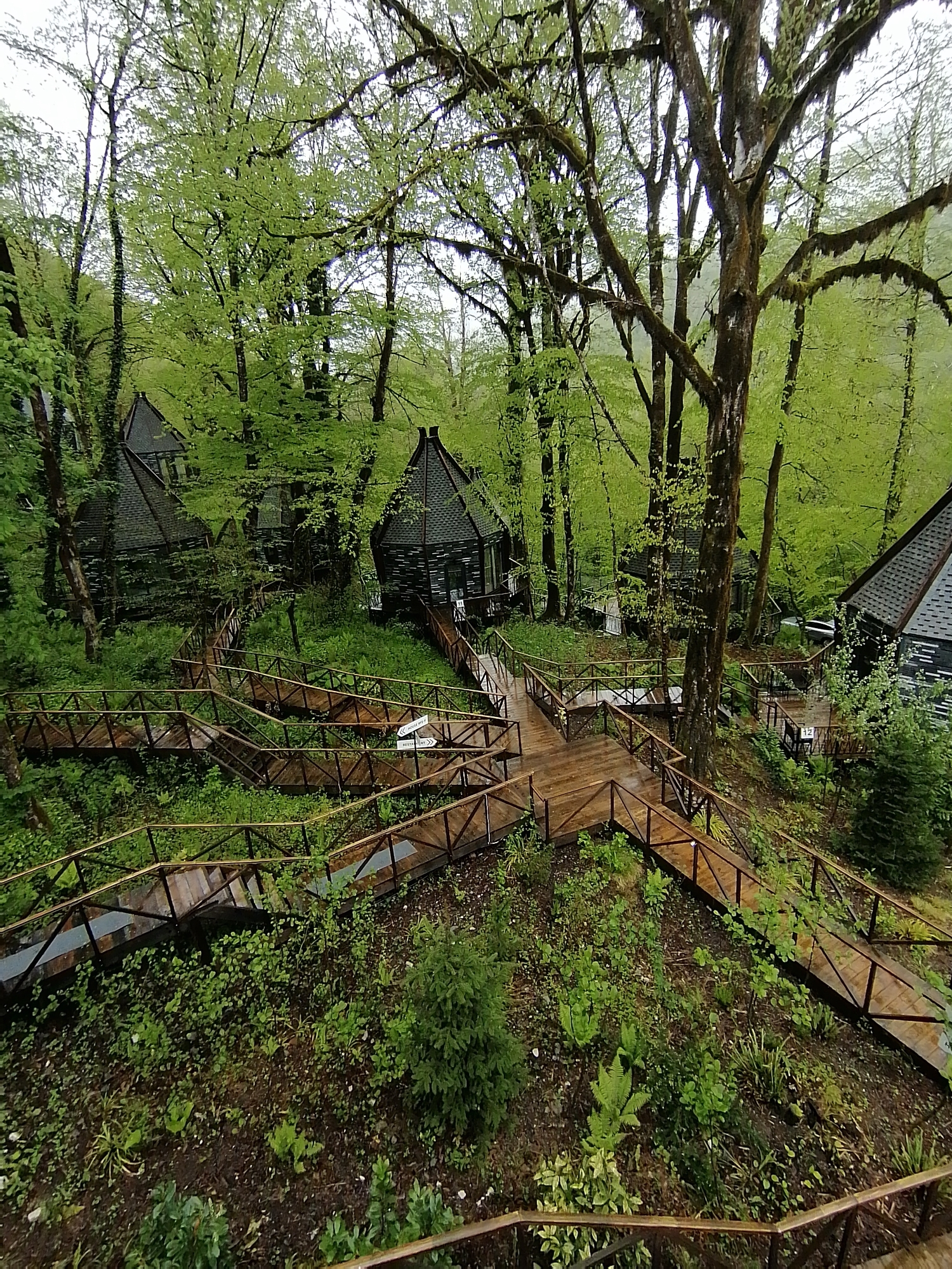 The image shows a wooded area in Medoveevka, Russia, featuring several small, dark-colored cabins nestled among trees with lush green foliage. A network of wooden walkways and staircases with wooden railings meanders through the landscape, connecting the cabins. The ground is covered in a mix of vegetation, including ferns and small plants. The walkways appear wet, possibly from recent rain. A building is numbered 12. The overall impression is of a natural retreat or resort within a forest setting.