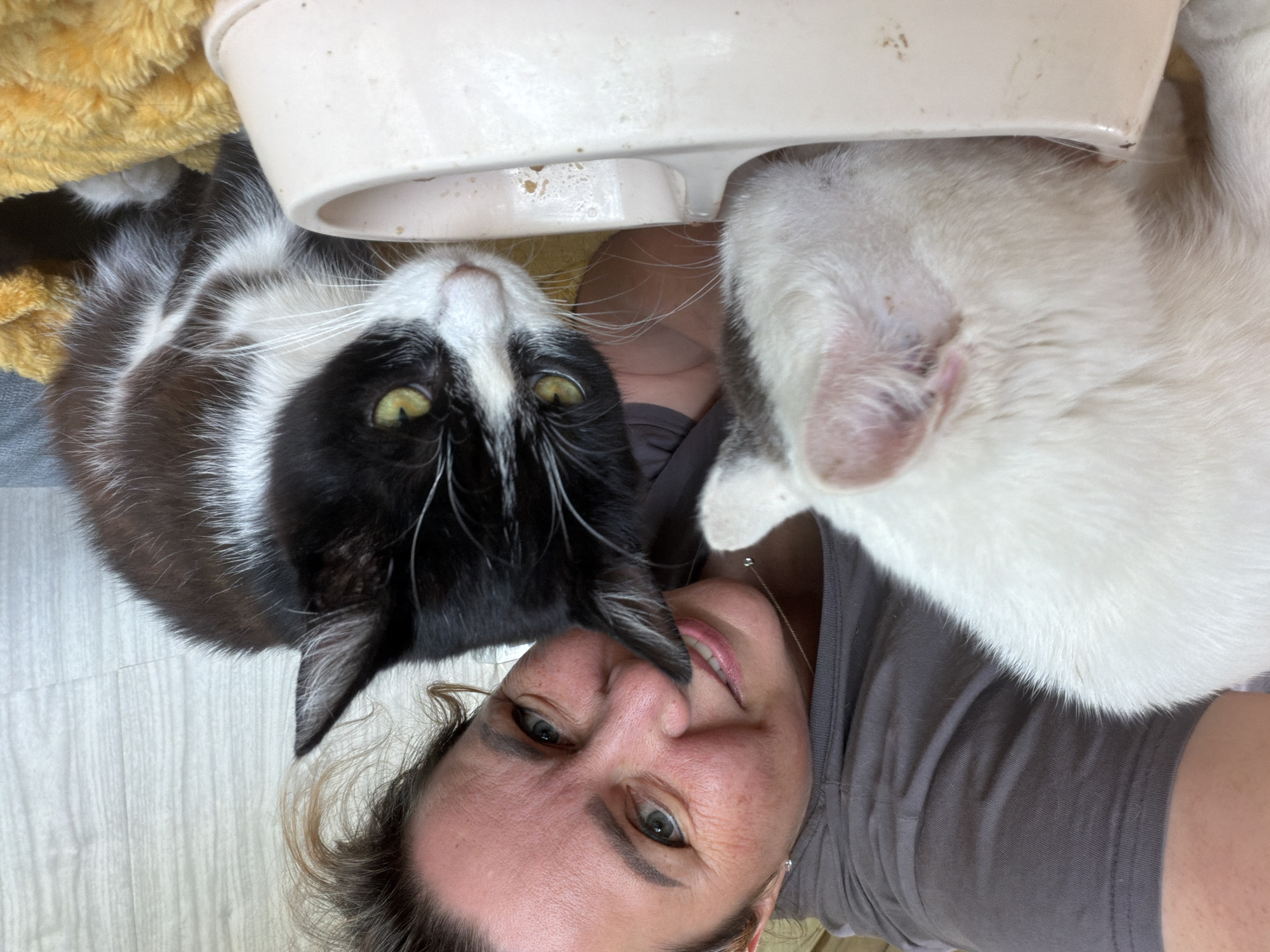 A woman lies on her back, taking a selfie with two cats and an object that appears to be a cat feeder. The woman has fair skin, gray eyes, and brown hair. She is wearing a gray t-shirt. A black and white cat is to her left, looking at the camera. A white cat is to her right, partially in frame. The cat feeder is positioned above the woman's head, between the two cats. The background is a light-colored floor. The location is Leningradskaya, Russia.