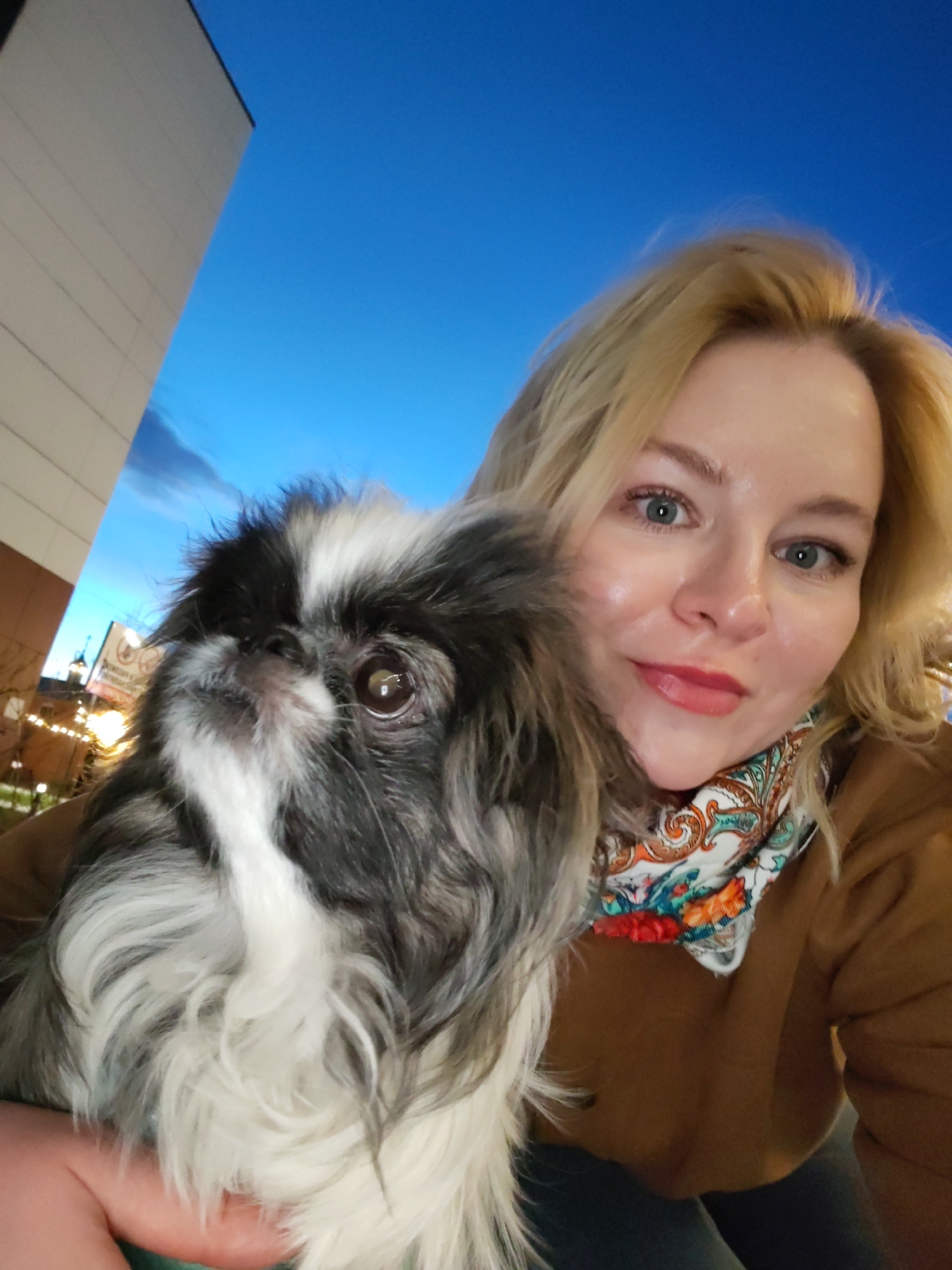 This image is a selfie-style portrait of a blonde woman and a small, fluffy dog, captured outdoors at dusk or early evening in Izhevsk, Russia.
The woman, likely in her 30s or 40s, occupies the right side of the frame, looking directly at the camera with a gentle smile. She has fair skin, light-colored eyes, and blonde hair. She is dressed in a warm-toned, possibly brown, top or jacket, and a colorful patterned scarf with orange, blue, and green designs around her neck.
On the left, nestled close to the woman, is a small dog, possibly a Pekingese or a similar long-haired breed. It features distinctive black, white, and grey fur, and its dark, round eye is clearly visible. The dog's snout is obscured by its fur, and it appears to be looking slightly upwards and to the left of the camera.
The background is dominated by a deep, clear blue sky, indicating twilight. To the far left, a section of a tall, light-colored building is visible. In the distance, on the right, urban elements are present, including warm artificial lights and the faint outline of other structures, possibly with a spire or decorative top. A blurry sign with illegible text can also be seen in the background. The lighting suggests a combination of natural fading light and artificial illumination, highlighting the subjects against the evening sky. The overall mood conveys warmth and companionship.