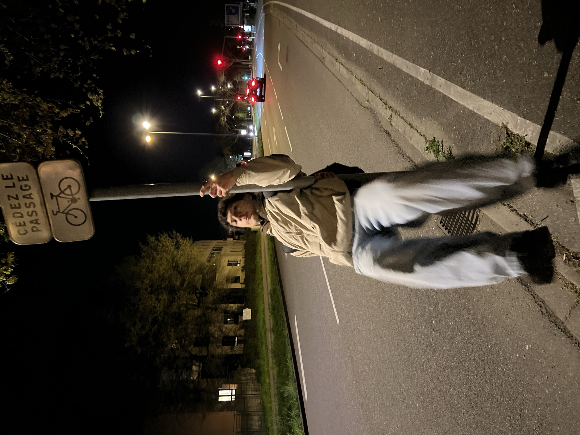 At night in Hoenheim, France, a person wearing a tan jacket and light-colored pants is hanging on a metal pole adjacent to a road with traffic lights and a passing car. A street sign with a bicycle symbol is affixed to the pole. The surrounding environment includes trees, buildings, and street lights. A sidewalk runs parallel to the road, featuring a curb and vegetation. A road lane is indicated by a white line.