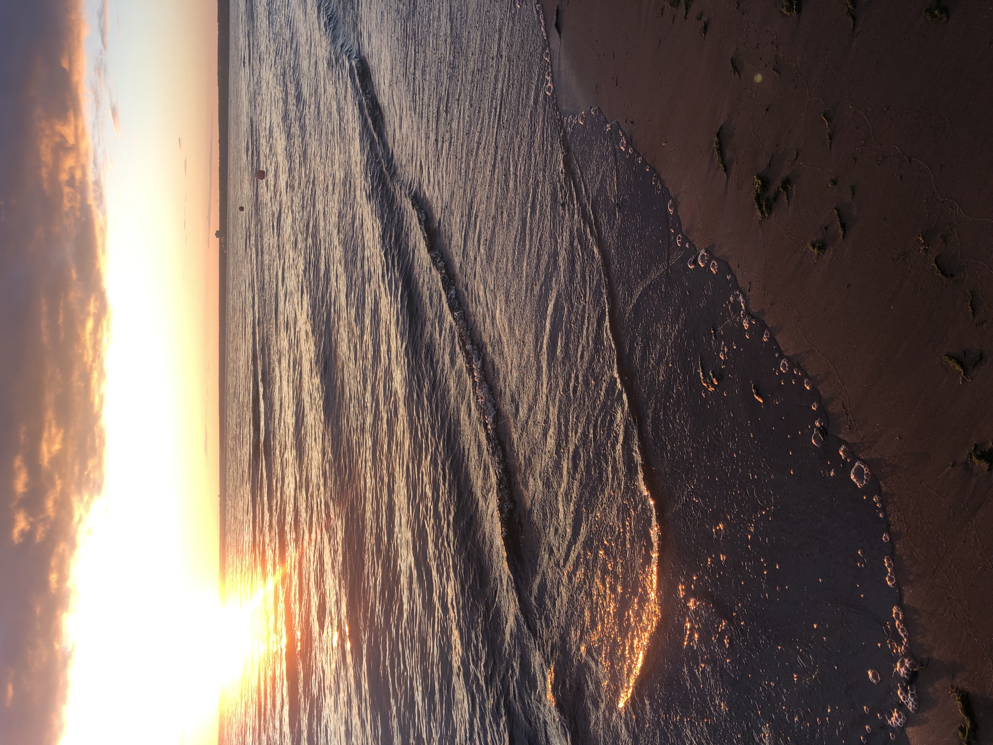 A photograph captures a serene sunset over the Gulf of Finland, viewed from the sandy shore of Sestroretsk, Russia. The sun, a bright orb of golden light, is partially obscured by warm-toned clouds, casting shimmering reflections on the rippling water. Gentle waves lap at the sandy beach, leaving a foamy trail. In the distance, a faint silhouette of a building or structure can be seen on the horizon, along with two buoys floating in the sea. The sand itself is dark and damp, with scattered pieces of seaweed. The overall mood is tranquil and picturesque.