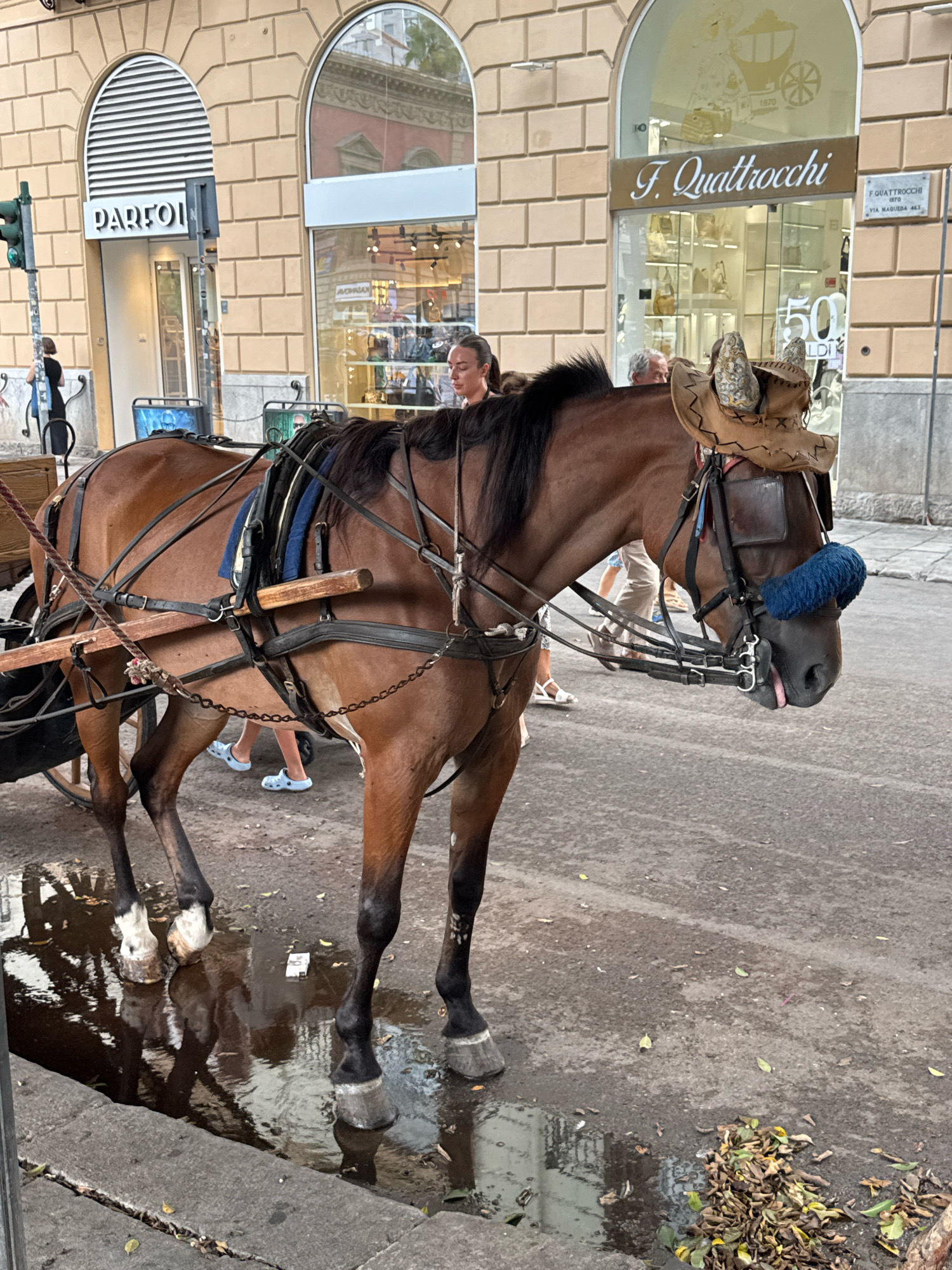 This image captures a brown horse harnessed to a carriage on a street in Palermo, Italy. The horse is wearing a decorative cowboy hat and a blue fuzzy blindfold over its eyes. The horse is standing near a puddle of water on the cobblestone street. Behind the horse, a building with arched windows and a sign that reads "F. Quattrocchi" is visible. The building's facade is made of beige brick. In the background, several people are walking, some of whom are casually dressed. The scene appears to be a street view in a commercial area of the city.
