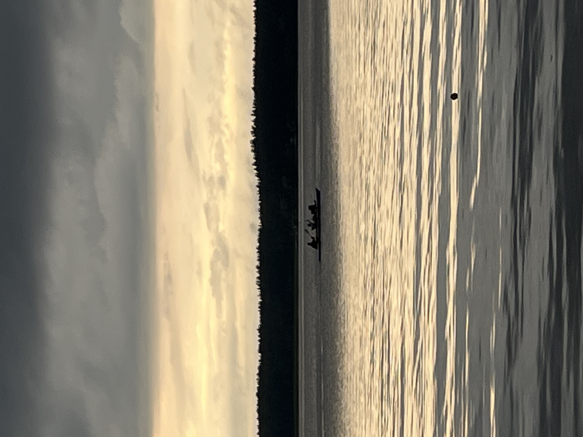 The image depicts a wide shot of a body of water, likely a lake or calm sea, under a cloudy sky. A dark, tree-lined shore is visible in the background, creating a distinct horizon line. In the middle ground, a kayak with at least three people aboard is navigating the water. The water's surface reflects the muted colors of the sky, creating rippling patterns of light and shadow. In the foreground, a small, dark object, possibly a buoy or debris, is visible in the water. The overall atmosphere is serene and slightly overcast. The location is identified as Radchenko, Russia.