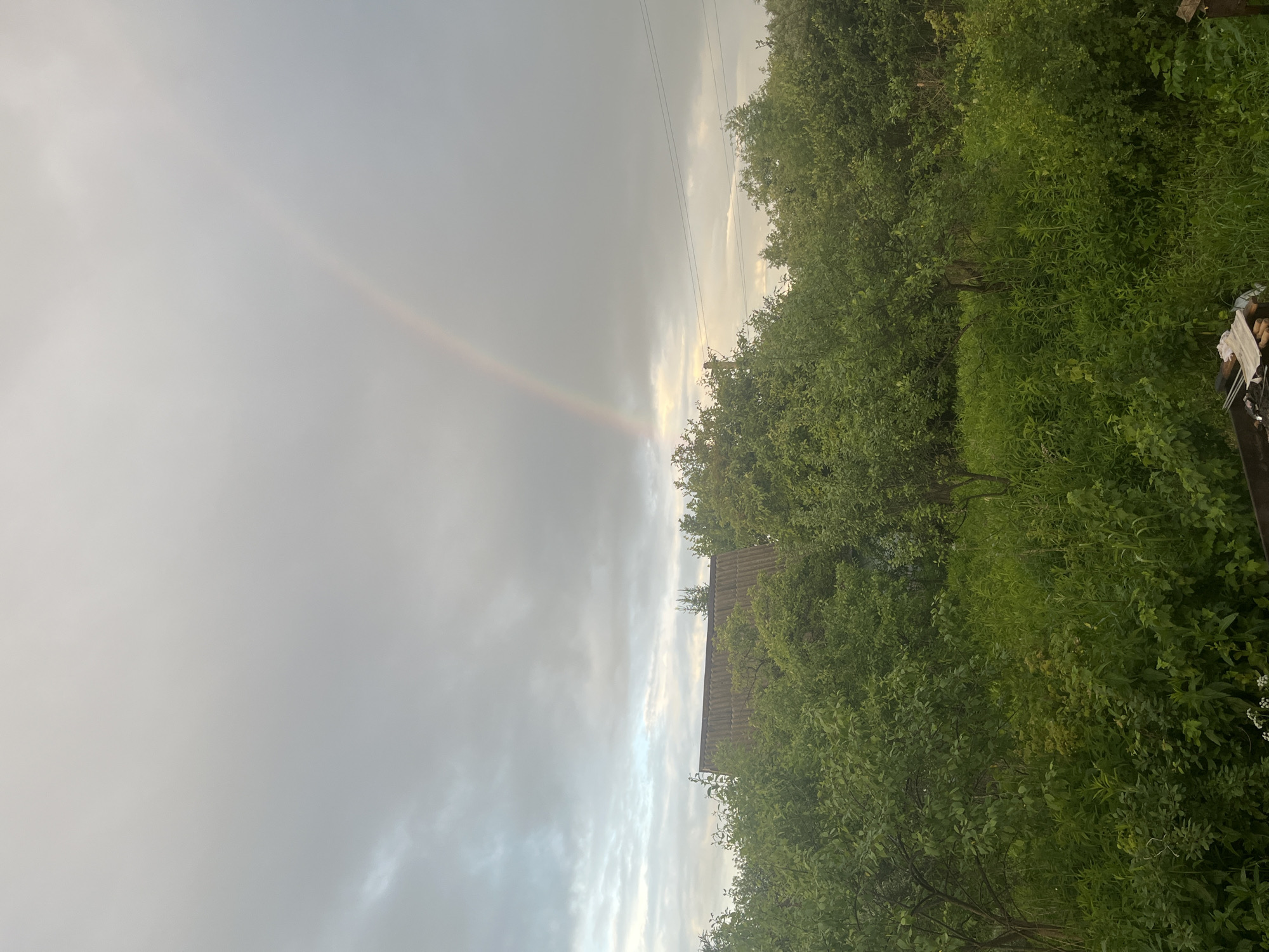 A muted landscape image depicts a cloudy sky with a faint rainbow arcing in the upper right quadrant. Below the sky, a dense canopy of green trees fills the mid-ground, with the grey, corrugated roof of a building peeking through the foliage on the left. The foreground is occupied by more lush greenery and tall grass. The scene appears to be a rural or semi-rural setting, possibly a garden or orchard, located in the village of Klobushnevo, Russia. There are no people or animals visible in the frame.