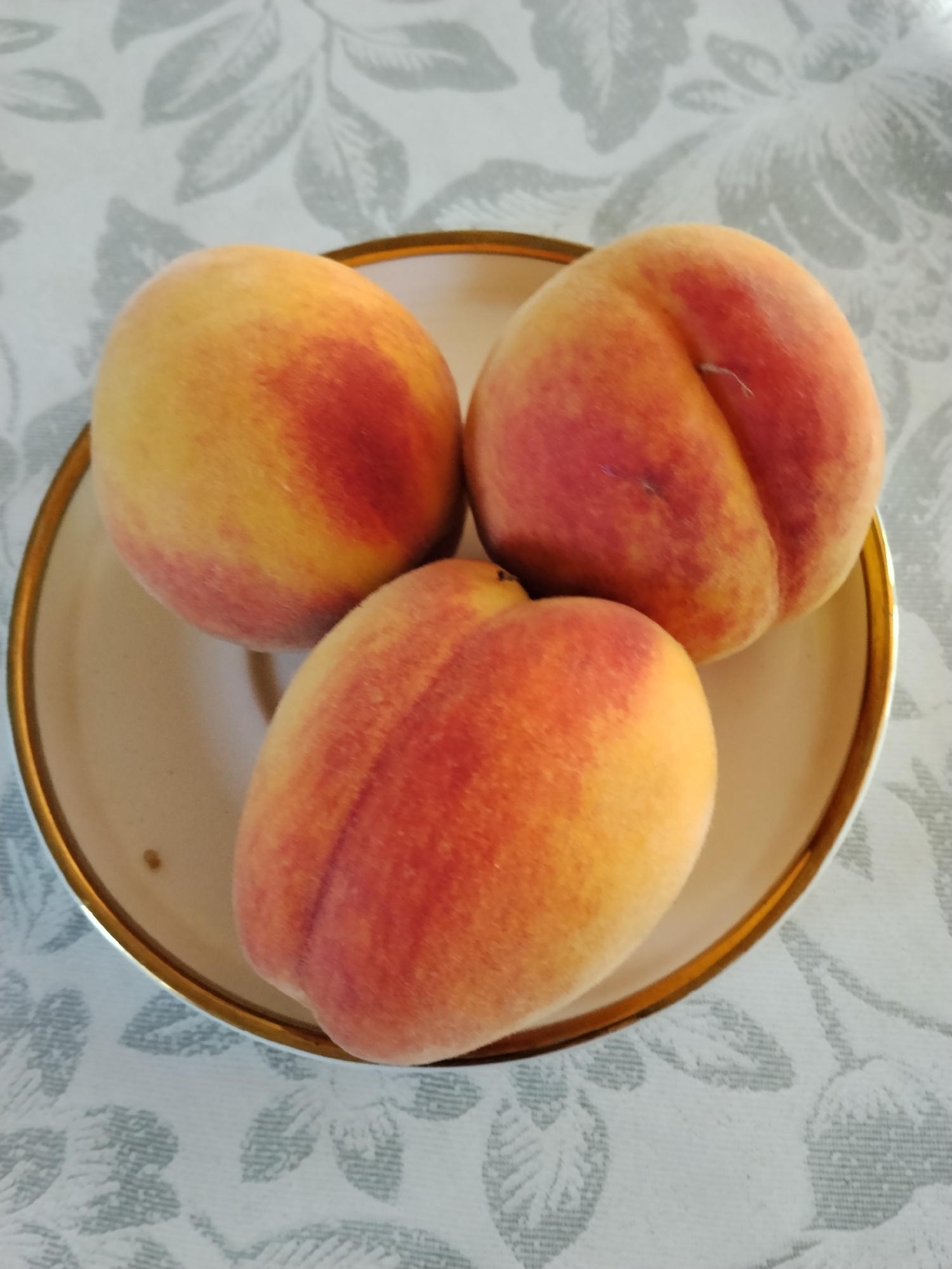 Three ripe peaches are arranged in a shallow, light-colored bowl with a thin gold rim. The bowl sits on a white tablecloth patterned with light gray leaves. The peaches exhibit a gradient of color, transitioning from yellow to a blush of red. The lighting suggests an indoor setting, possibly a home or market stall, with no discernible environmental features indicating a specific location within the city of Yarkishlak, Uzbekistan.