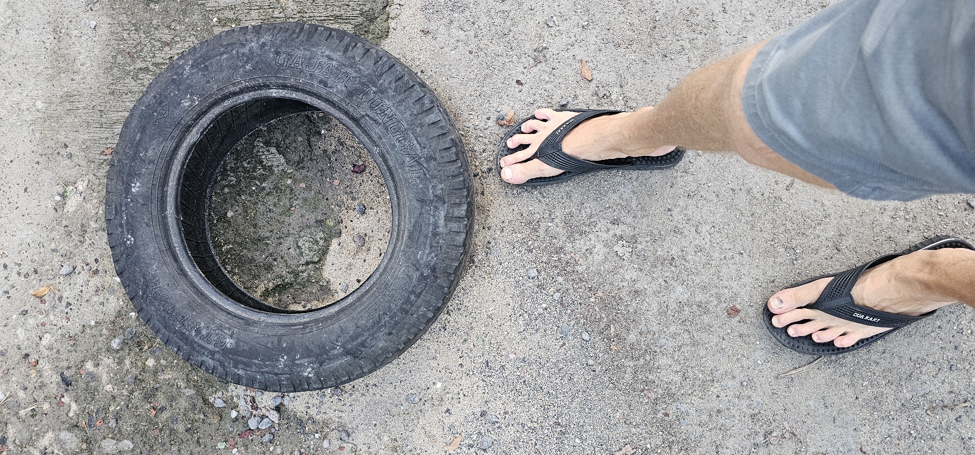 This overhead shot, captured in Denpasar, Indonesia, features a person's legs and feet positioned on a concrete and dirt ground, alongside an old tire. The person, whose skin appears light-toned, is wearing black flip-flops. A notable detail is the dark, possibly bruised, appearance of the big toenail on the right foot.
To the left of the frame, a single, dark, and visibly worn vehicle tire rests on the ground. Its surface is dirty and aged, with some light-colored specks and streaks. Inside the tire's rim, the ground appears damp or covered in a dark, murky substance. Distinct text is visible on the tire's sidewall, reading "GAJAH TUNGGAL" and partially "GT SUPER."
The ground is a heterogeneous mix of weathered, grey concrete, lighter sandy patches, and scattered small pebbles. There are also a few dry leaves and sparse green vegetation. The lighting suggests it is daytime, with diffused light rather than harsh direct sunlight. The black flip-flops worn by the person have the brand name "DURA RAKI" visible on the straps. The scene conveys an unadorned outdoor setting.