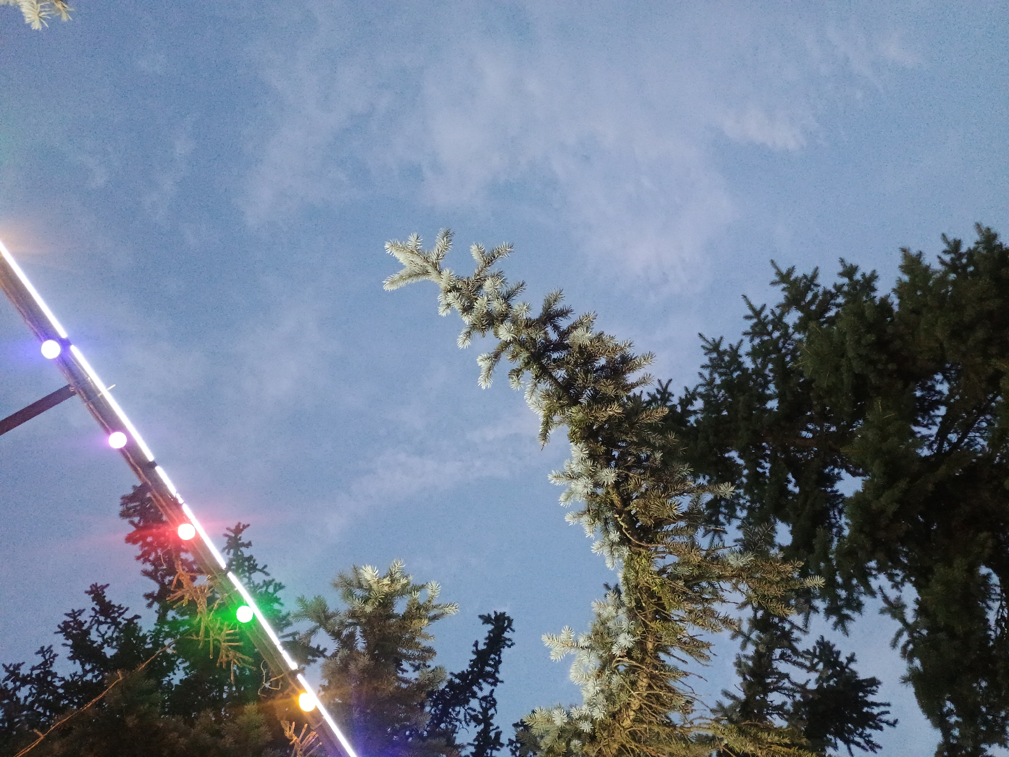 The image depicts an upward-facing view of a clear sky with scattered clouds, framed by the branches of evergreen trees. A string of colorful lights, including red, green, yellow, and purple bulbs, is strung across the top of the frame, suspended above the trees. The scene appears to be outdoors, likely in a park or garden setting, possibly decorated for a festive occasion. The lighting suggests it may be dusk or evening. The location of Gusar, Azerbaijan is not visually discernible from the image itself.