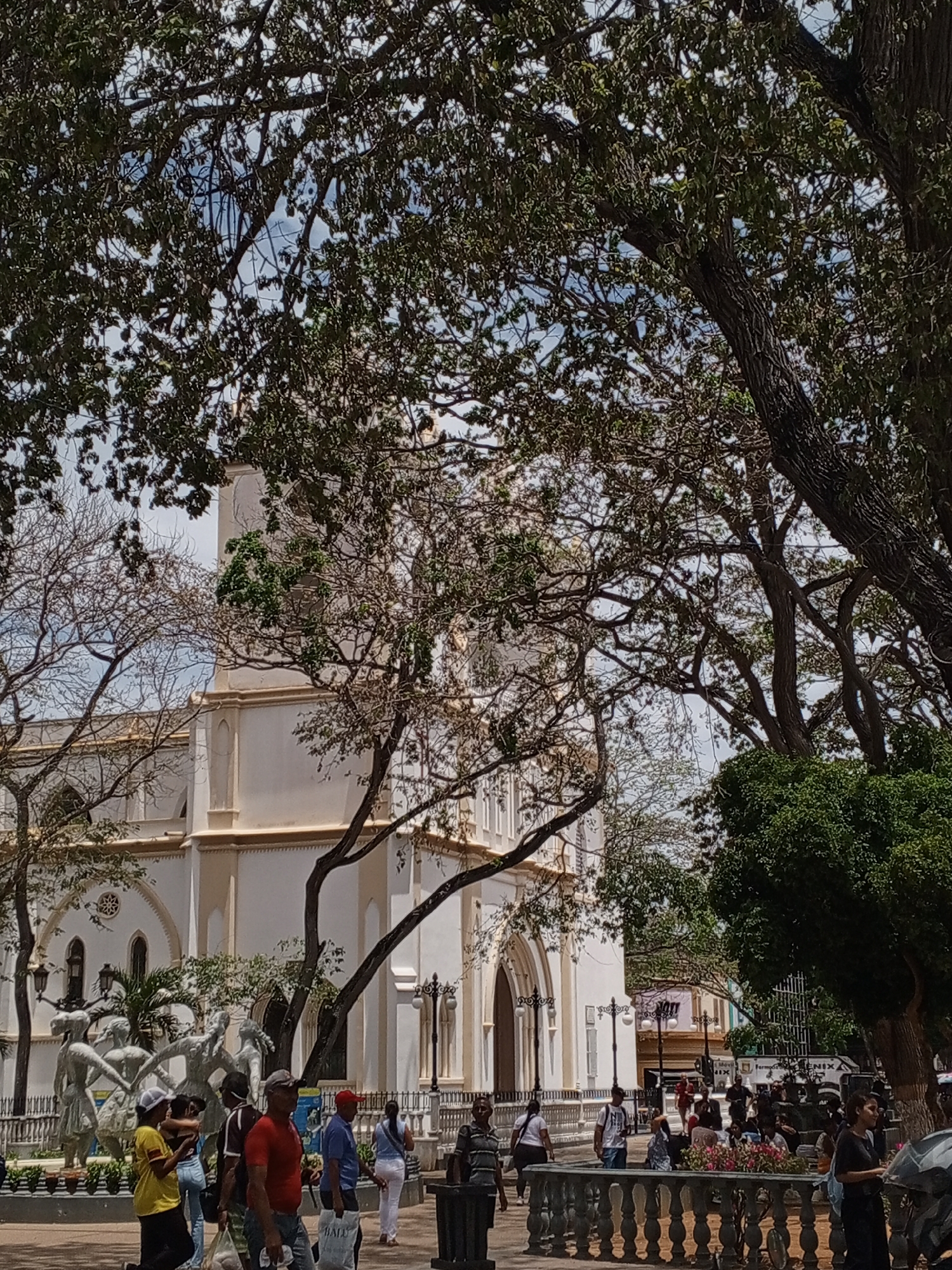 The image presents a sun-drenched outdoor scene in a public square in Porlamar, Venezuela, featuring a prominent white church. Large, leafy trees with gnarled branches heavily frame the view from the foreground and sides, creating a natural canopy that filters the bright sunlight, casting dappled shadows across the scene.
The central subject is a grand white church, built in a Gothic Revival style, visible through the trees. It features pointed arches, intricate architectural details, and tall windows. In the mid-ground, to the left of the church's entrance, stands a notable white sculpture group depicting several dynamic human figures in various poses, suggesting movement or dance.
Numerous people are scattered throughout the square, engaged in everyday activities. They appear to be casually dressed in light clothing, suitable for warm weather, walking, standing, and conversing. The atmosphere seems relaxed and typical of a bustling public space.
Notable details include the bright, clear conditions, indicating a sunny day, likely mid-day or early afternoon, given the strong shadows. Decorative streetlights and a stone balustrade are visible elements within the square. In the background, a white truck or van is parked, partially displaying the text "FARMACIA FENIX" and "NIX." Another visible text fragment is "BALÚ" or "BALD" on a bag carried by a person in the foreground. The scene captures a vibrant slice of life in a Venezuelan town square.