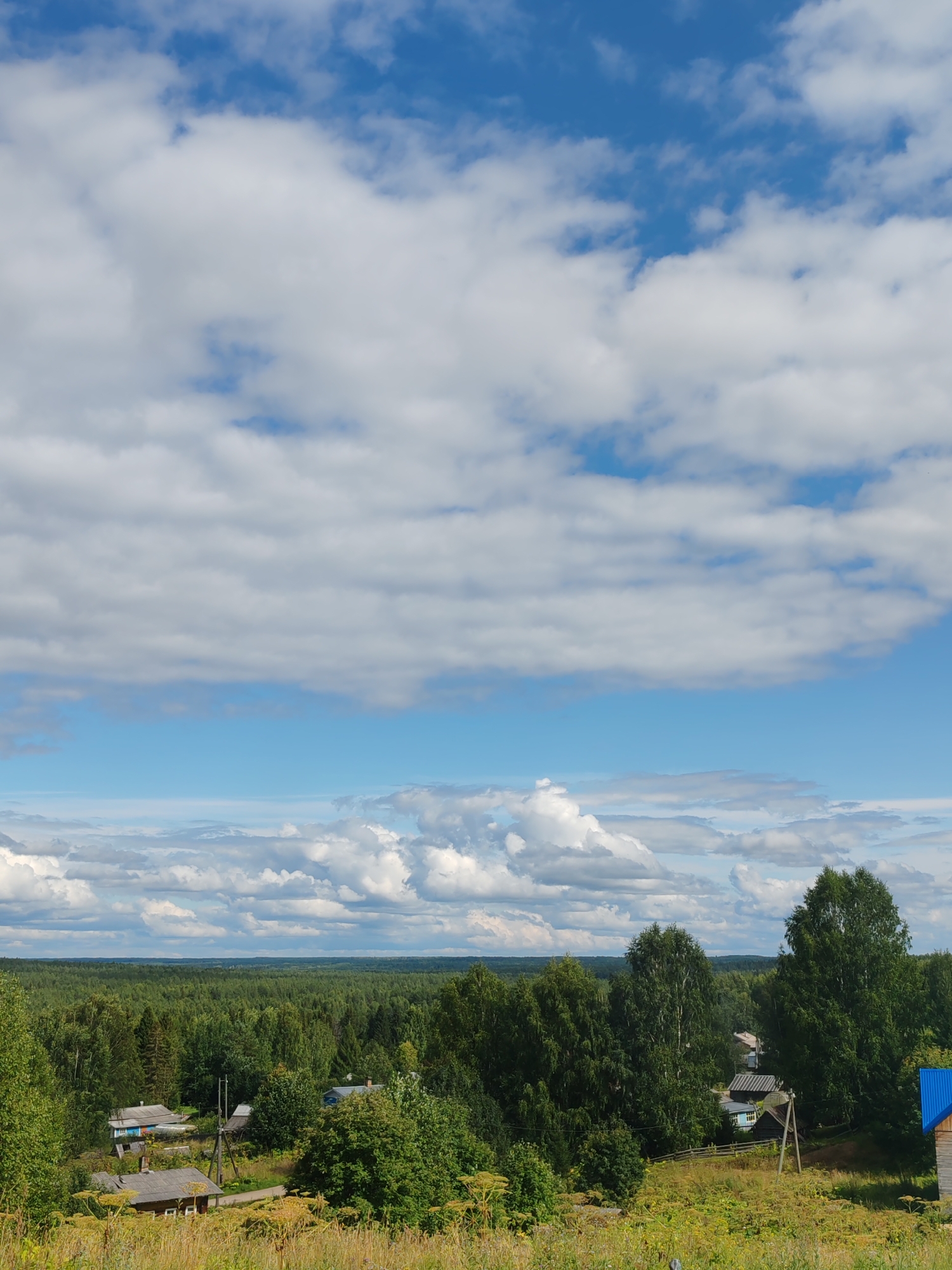 The image depicts a scenic view of a rural landscape with a village nestled amongst dense green forests under a partly cloudy blue sky. In the foreground, tall dry grasses and wildflowers dominate the lower edge of the frame, transitioning into a more manicured grassy area with scattered trees.
The village itself consists of several wooden houses with traditional pitched roofs, some painted in muted colors like gray and light blue. One house in the mid-ground prominently features a bright blue metal roof. Wooden fences and utility poles are visible throughout the village, indicating a functioning settlement.
The dominant feature of the scene is the expansive forest that stretches across the horizon, a sea of various shades of green from coniferous and deciduous trees. In the distance, the land appears to gently undulate, with layers of forest receding into the hazy horizon.
The sky is a vibrant blue, punctuated by numerous fluffy white clouds that cast shadows on the landscape below, suggesting a bright but dynamic day. The overall impression is one of a peaceful, rustic countryside typical of rural Russia, possibly in the region of Чухлэм. No people are visible in the image.