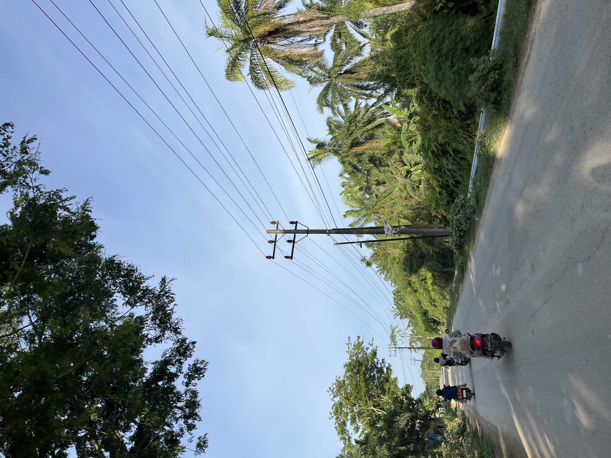 In Alurcucur, Indonesia, three individuals are riding motorbikes down a paved road, each following the other. The leading motorbike is ridden by a person wearing a red headscarf and a backpack, while the motorbike behind them has a rider wearing a light-colored patterned shirt and a beige backpack. The furthest motorbike is ridden by a person in dark clothing. The road is lined with lush green vegetation, including palm trees and other tropical foliage, and a large tree with dark green leaves partially obscures the upper left corner of the frame. Overhead, a clear blue sky is crisscrossed with power lines supported by wooden utility poles. The lighting suggests it is late afternoon, casting long shadows on the road.