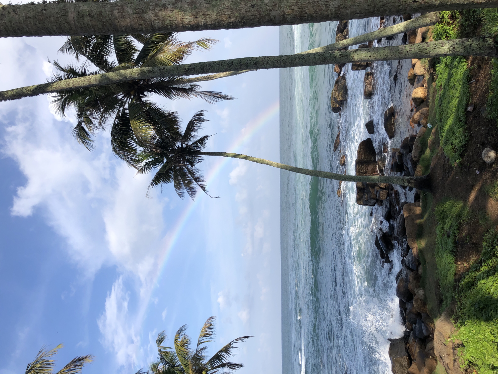 A beach scene in Dondra, Sri Lanka is depicted with palm trees framing the view of the ocean and a segment of a rainbow visible in the sky. The foreground consists of palm trees, with their trunks and fronds visible against the sky. In the midground, the ocean waves meet a rocky shoreline where vegetation grows on the land. A rainbow arcs from the ocean to the sky. The overall scene has a natural, tropical feel, with elements of the sky, ocean, and vegetation all interacting.