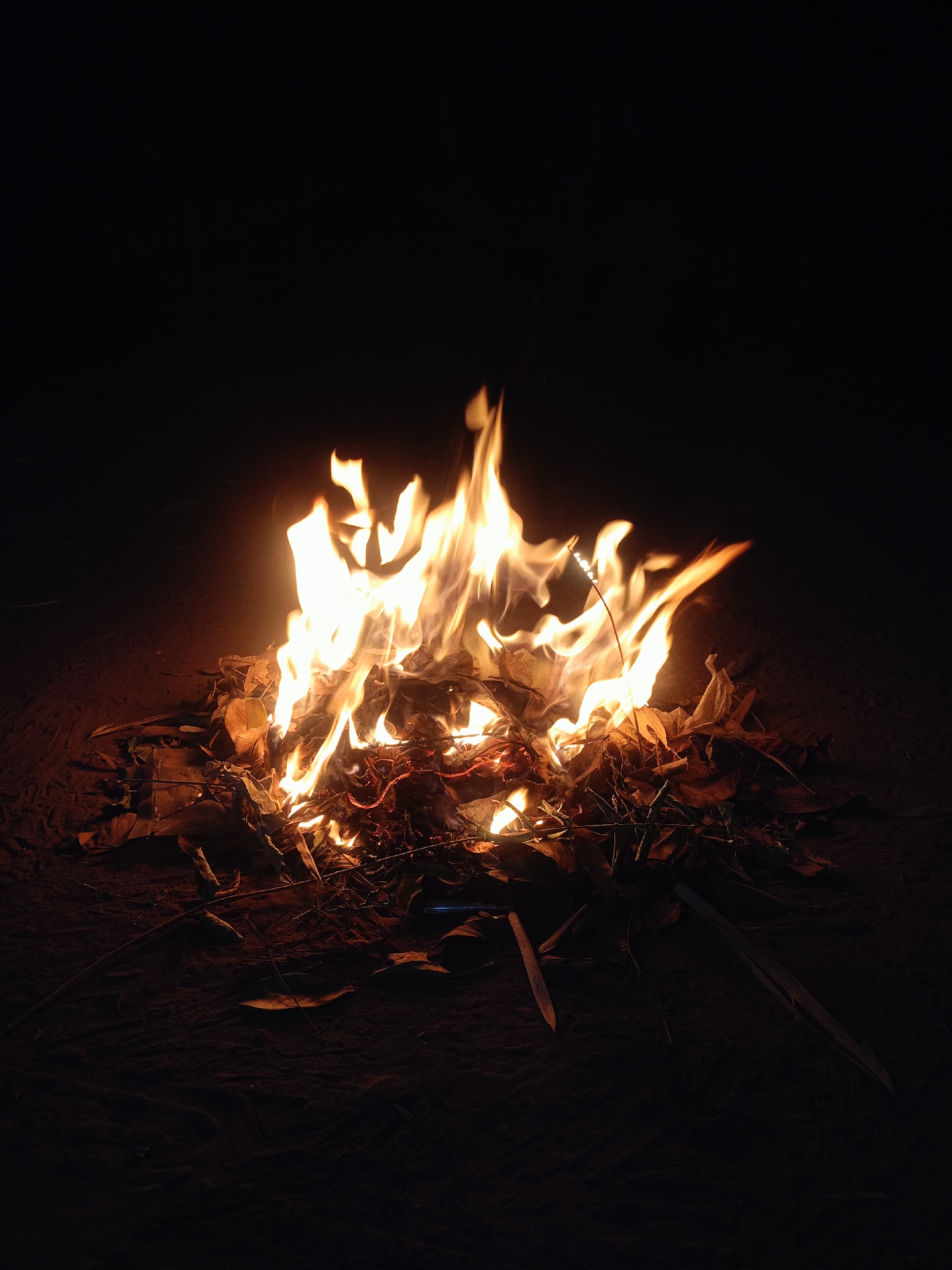 A campfire burns on a dark, sandy surface, possibly in Jelbuk, Indonesia. The fire is the primary subject, with bright yellow and orange flames reaching upwards from a pile of dry leaves and twigs. The background is completely dark, suggesting the image was taken at night or in a dimly lit area. The ground around the fire is composed of fine sand or dirt, with a few scattered leaves visible. There are no people or other living beings depicted in the scene.