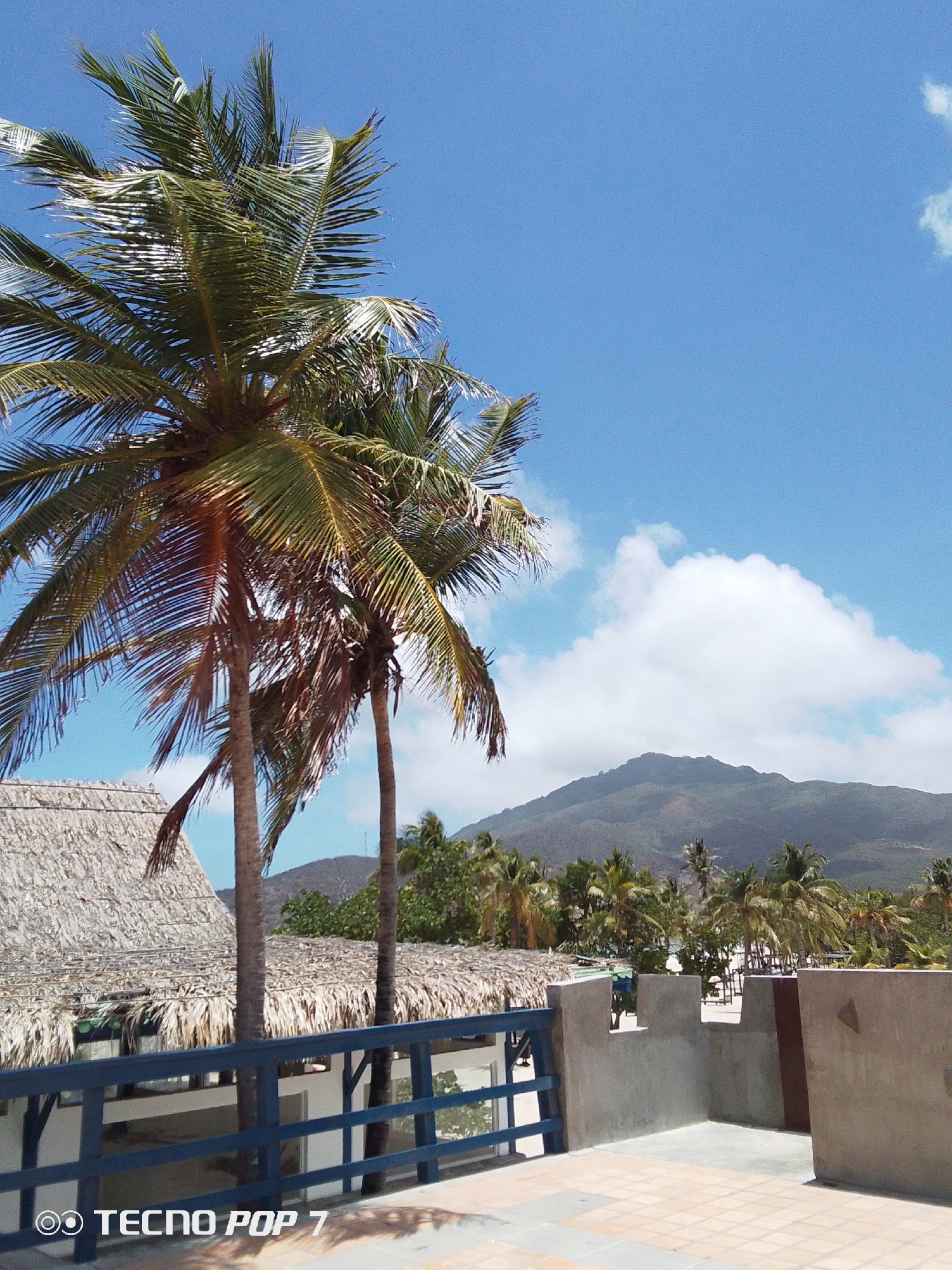 The image shows a tropical scene in Pedro González, Venezuela. In the foreground, there is a building with a straw roof and a blue railing. Behind the building, there are palm trees. In the background, there is a mountain range and a blue sky with some clouds. The scene is shot from a slightly elevated perspective. The lighting is bright, and the colors are vivid.