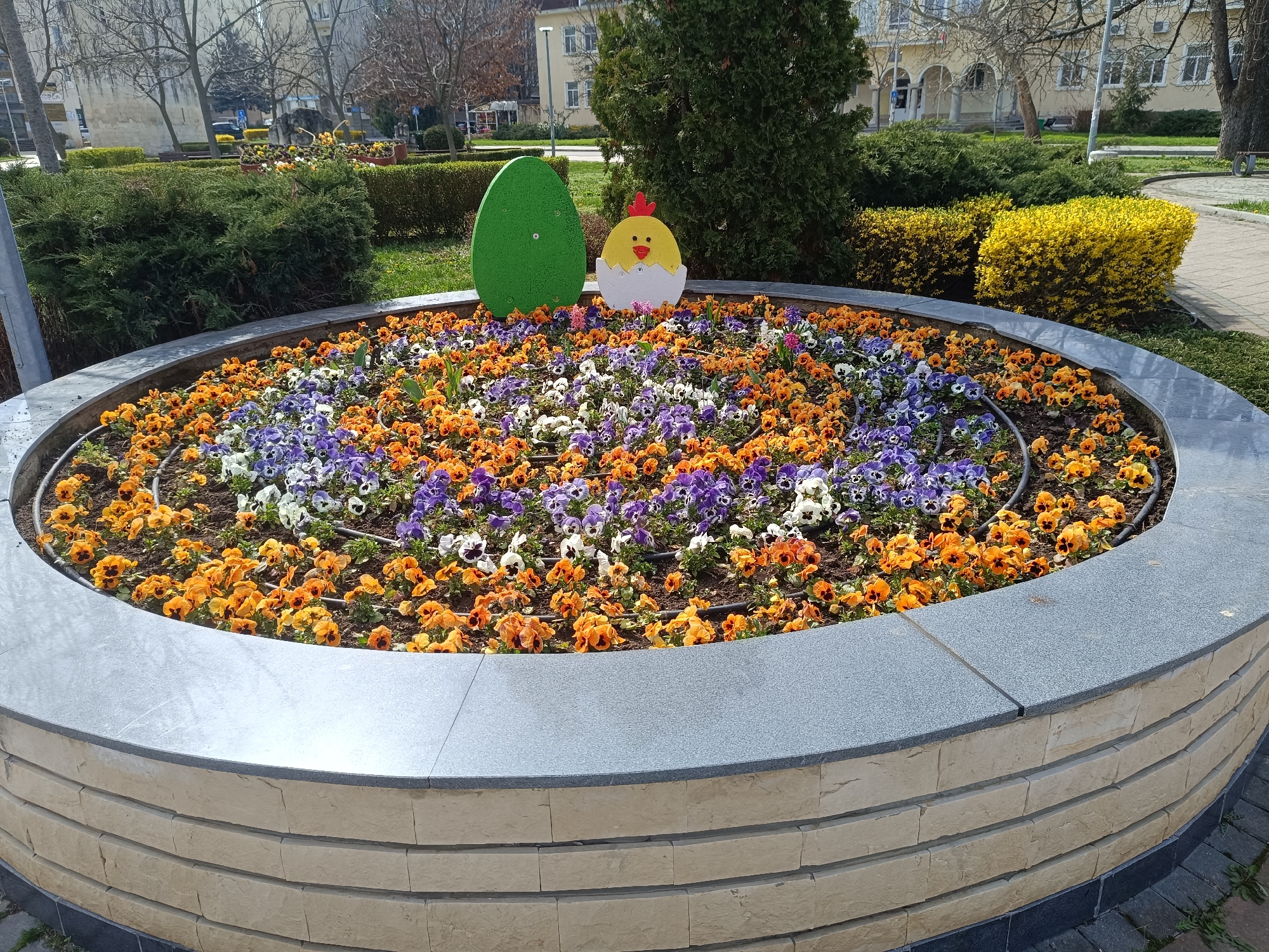 The image depicts a round, raised flower bed in Razgrad, Bulgaria. The bed is made of gray stone and contains a variety of colorful pansies, primarily in orange, white, and purple. Two wooden decorations, a green egg and a yellow chick emerging from an egg, are positioned in the center of the flower bed. In the background, there are trees, shrubs, and a building with arches. The ground is paved with tiles, and a watering system can be seen in the flower bed.