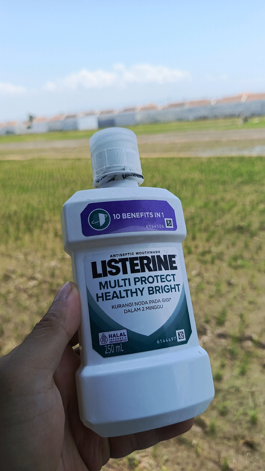 A person's hand holds a white plastic bottle of Listerine Multi Protect Healthy Bright antiseptic mouthwash. The bottle has a purple label at the top that reads "10 BENEFITS IN 1" and a teal and green label on the front with the Listerine logo, the product name, and smaller text in Indonesian stating "KURANGI NODA PADA GIGI* DALAM 2 MINGGU" (Reduce stains on teeth* in 2 weeks). Below this, a Halal logo for Indonesia is visible, along with "250 ML". The background shows a rural landscape with green fields and a bright blue sky with scattered clouds. In the far background, a white wall with buildings behind it is visible, suggesting a residential or industrial area. The image appears to have been taken outdoors, possibly in Babadan, Indonesia, given the context of the Halal logo.