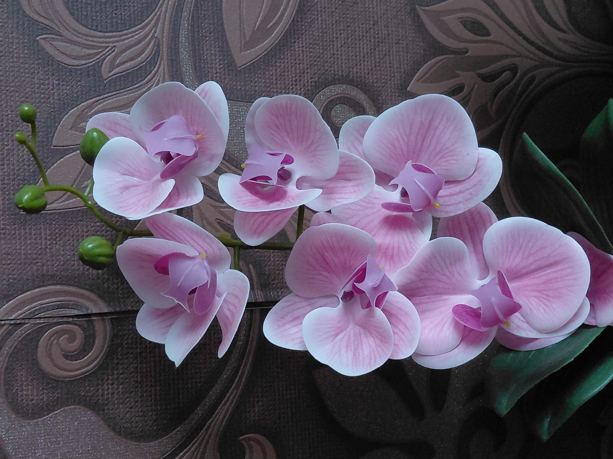 A close-up, eye-level shot focuses on a sprig of artificial pink orchids against a textured, brown patterned background. The orchids are arranged in a vertical cluster, with multiple blooms and several green buds. The background features embossed, swirling, and leaf-like patterns in varying shades of brown. The lighting is even, with no harsh shadows. The image is sharp and detailed, highlighting the delicate textures of the orchid petals and the intricate design of the background. There are no people or animals present in the image, and no discernable location within Новосёлово, Russia.