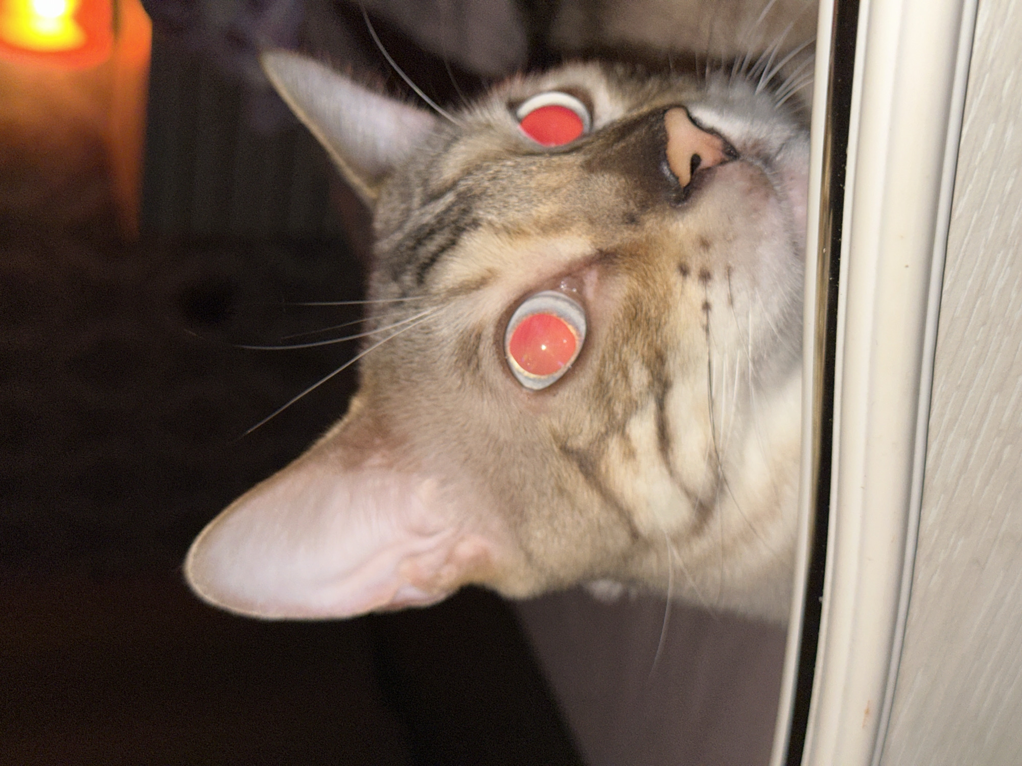A close-up, low-angle shot shows the face of a domestic cat with large, bright red pupils, indicative of a camera flash reflecting off the tapetum lucidum. The cat has light brown fur with darker tabby markings on its face and ears. It appears to be looking slightly to the right. The cat is peeking over the edge of a white, rounded object, possibly a pet carrier or a basket, which fills the bottom portion of the frame. The background is dark and out of focus, with a faint orange glow in the upper right corner, suggesting ambient light from a distant source. The scene is domestic and lacks any specific identifying features of Energetik, Russia.