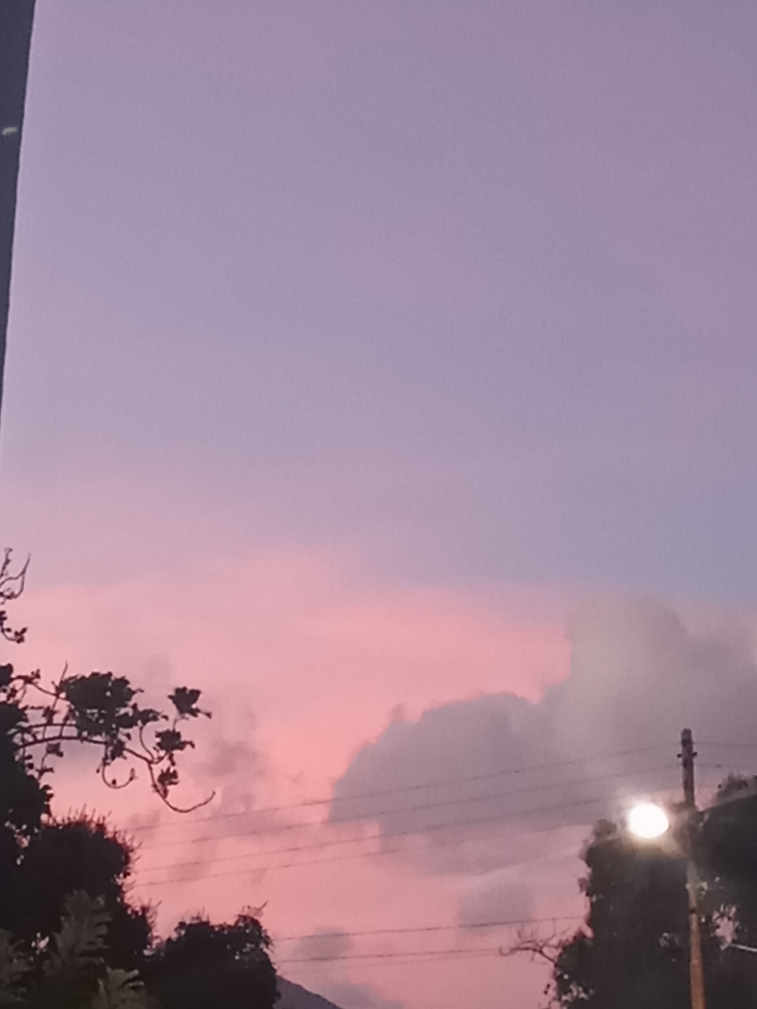 The image depicts an outdoor environment in Juan Griego, Venezuela, at dusk or dawn. The sky occupies the majority of the frame, displaying a gradient of color from light purple in the upper portion to a distinct pink hue transitioning towards the lower half. Several cumulus-type clouds, appearing dark grey and purple against the pink sky, are scattered across the lower sky. In the foreground, on the left side, dark silhouettes of tree foliage and leafless branches are visible. On the right side, a utility pole, dark in silhouette, extends vertically with multiple dark horizontal lines, consistent with electrical or communication wires, stretched across the mid-ground. An illuminated street light, emitting a bright white circular glow, is mounted on the utility pole on the right. No individuals, animals, or discernible actions are present.