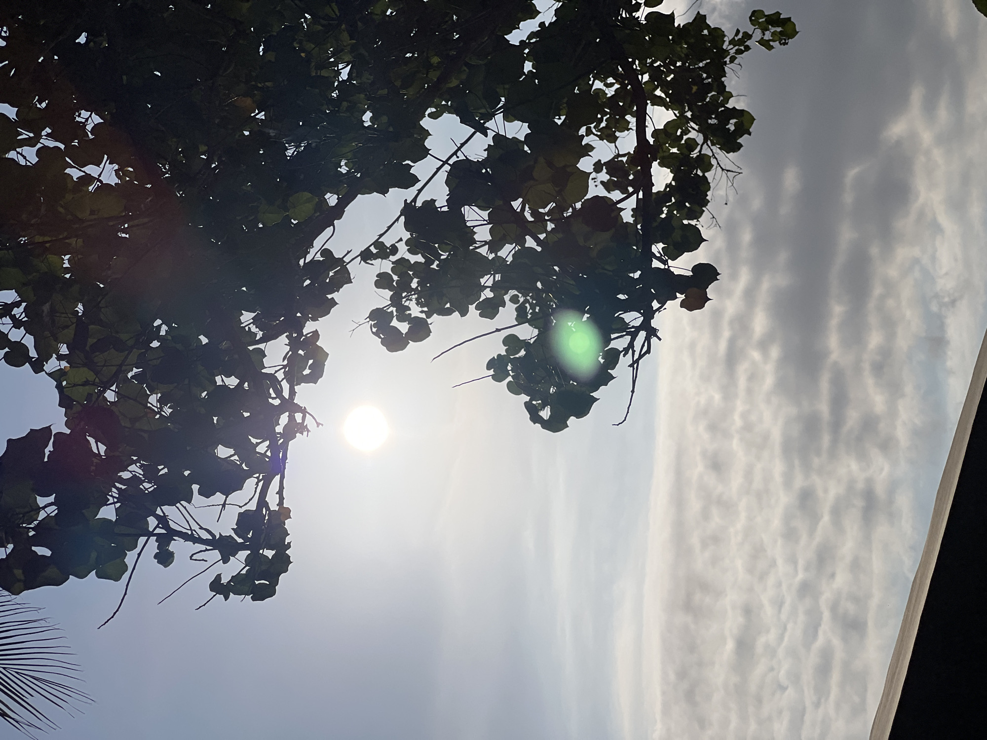 A low-angle shot captures a sunlit sky with a bright sun partially obscured by the dark silhouette of tree branches and leaves. In the foreground, the dark, angled edge of a structure is visible at the bottom left. The sky is a pale blue with thin, wispy clouds that become more pronounced towards the bottom of the frame, suggesting a hazy or overcast condition despite the bright sun. A faint green lens flare is present in the lower-middle section of the image. The scene appears to be outdoors, likely in a tropical setting given the presence of lush foliage and the angle of the sun, consistent with the climate of Kuta, Indonesia. No people or animals are visible. The overall impression is one of a bright, sunny day partially filtered through natural elements.