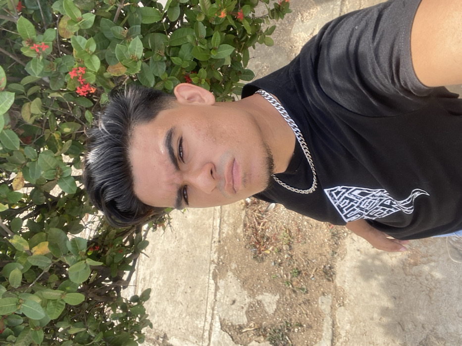 The image displays a young adult male positioned in the foreground, looking directly at the camera, suggesting a self-portrait. He has dark, slicked-back hair with faded sides, dark eyebrows, and a faint goatee. He is wearing a black crew-neck t-shirt with a white, abstract graphic design on the chest and a silver-colored cuban link chain necklace. A small portion of light-colored pants is visible at the bottom left. The background on the right features a dense green bush with small clusters of red flowers. The background on the left and lower sections consists of a light-colored, textured concrete or paved surface with sparse dry vegetation and dirt. The scene is illuminated by bright natural light. The precise location within Juan Griego, Venezuela, is not discernible from the visual information provided.