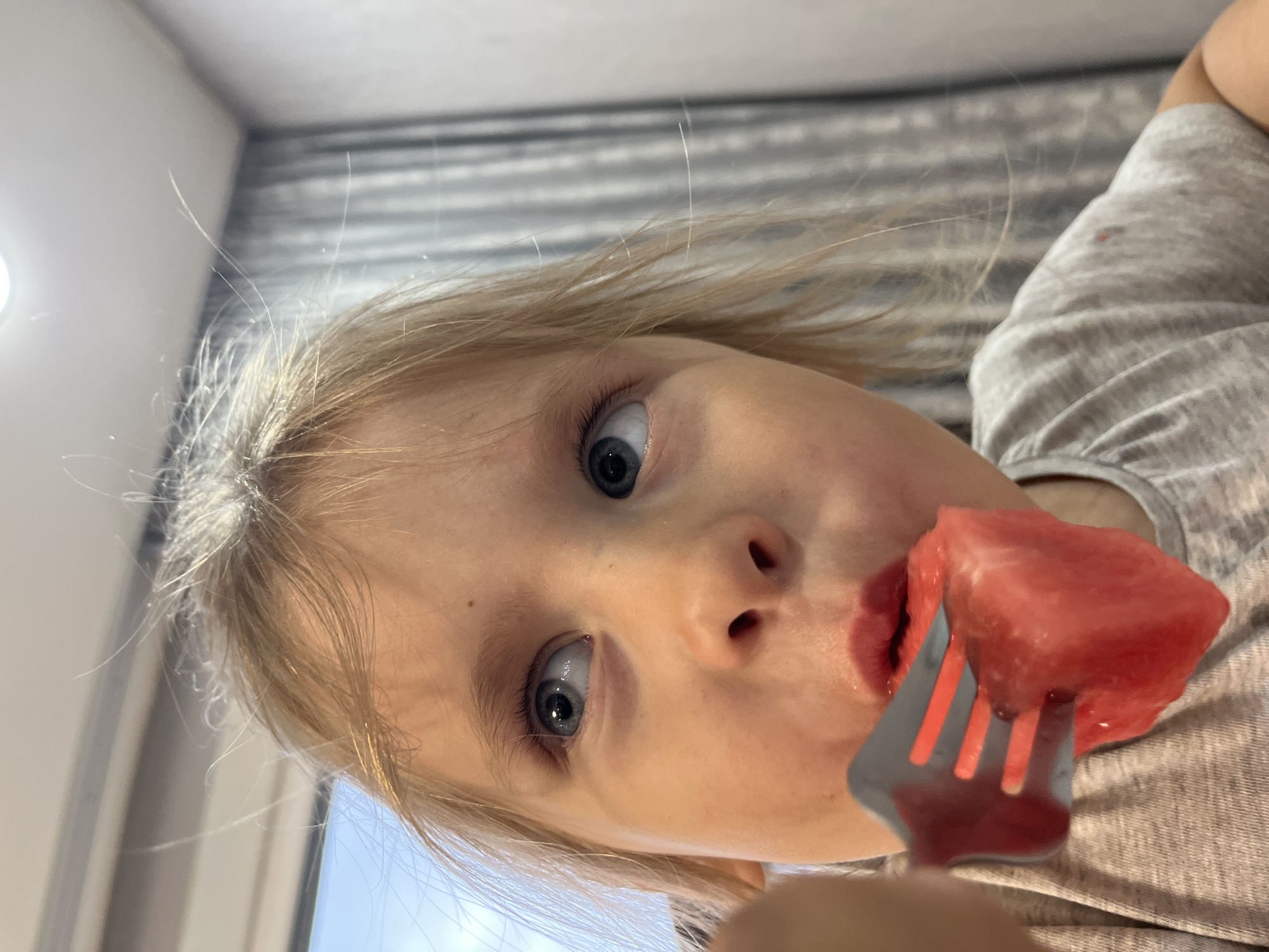A close-up, sideways shot shows a young child with blonde hair and blue eyes looking directly at the camera. The child is about to eat a piece of watermelon held on a fork. The background is blurred, but appears to be an indoor setting with a grey, striped curtain or wall covering and a hint of bright natural light coming from the left. The child's expression is one of curiosity and mild surprise, with eyes wide open. There are faint traces of red juice on the child's lips and a small red stain on their grey t-shirt. The lighting suggests it is daytime. The image was taken in Chaikovsky, Russia.