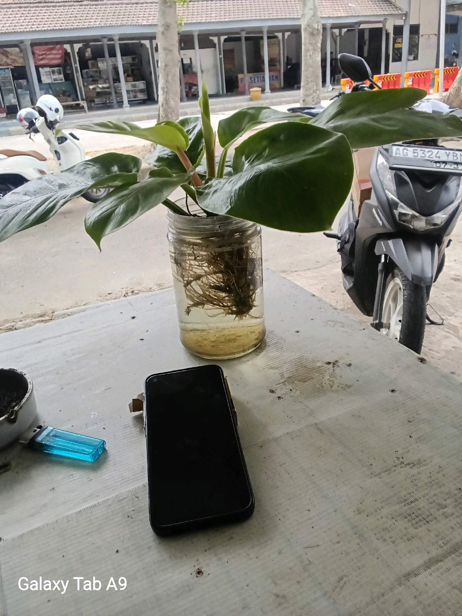 In Trenggalek, Indonesia, an outdoor scene unfolds. The foreground is dominated by a weathered, light-colored surface, likely a table, with a black smartphone and a blue lighter placed upon it. To the left, a white, cylindrical container holds a potted plant with large green leaves and visible roots submerged in water. In the mid-ground, a modern motorcycle, predominantly black and silver, is parked. Behind the motorcycle, a row of shops with tiled roofs and glass storefronts suggests a commercial area. Further back, more shops and a tree are visible. Two white helmets are perched on a white scooter on the left side of the image, near the shops. The overall environment appears to be a street or a sidewalk in a city setting.