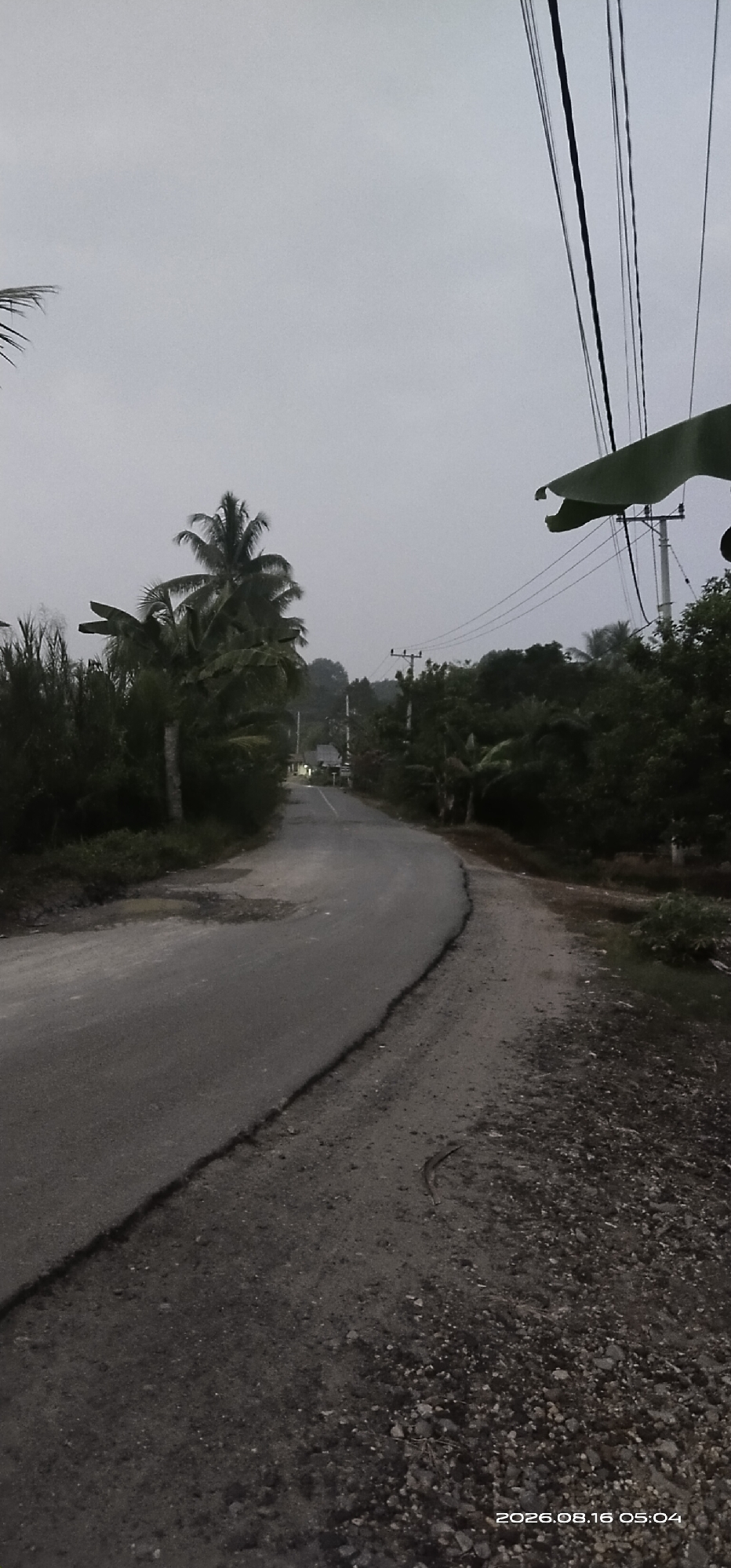 The image shows a road winding through a rural area with lush green vegetation. The sky is overcast, suggesting it may be dawn, dusk, or a cloudy day. On the left side of the road, there are tall palm trees and dense foliage. On the right side, there are more trees and what appear to be banana leaves hanging from the top of the frame. Utility poles with power lines are visible in the distance, indicating the presence of infrastructure. A small building can be seen further down the road. The road itself is paved but shows signs of wear, with a cracked edge on the right side and some potholes. The ground along the side of the road is rough and gravelly. A timestamp in the bottom right corner reads "2026.08.16 05:04". There are no people or animals visible in the scene. The location is Muka Haji, Indonesia.