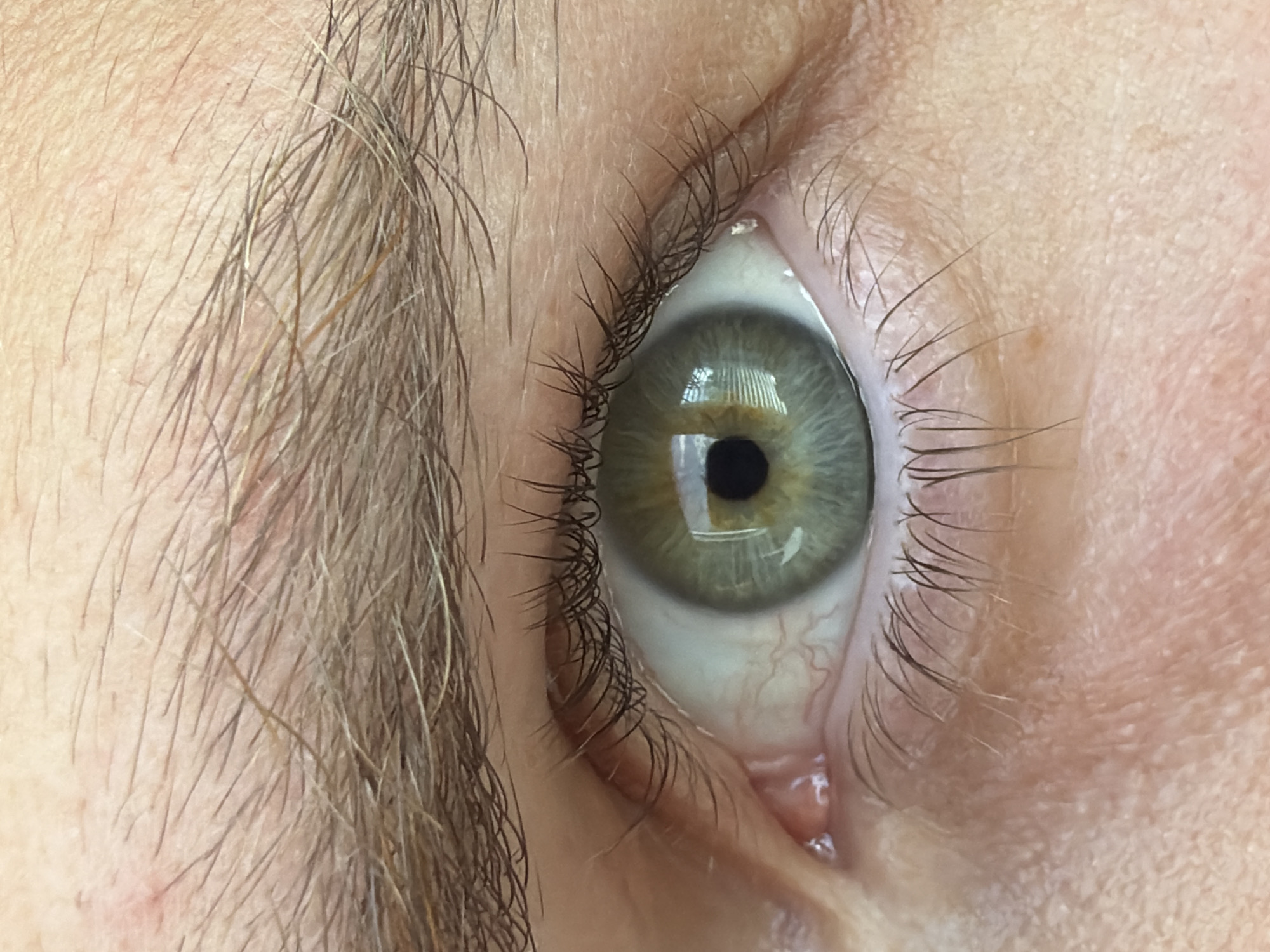 A close-up, eye-level, full shot captures a human eye. The iris is a striking green with concentric rings of lighter green and yellow. A black pupil is centrally located. The sclera is visible, appearing slightly bloodshot. Eyelashes frame the upper and lower eyelids. The eyebrow above is composed of light brown hairs. The skin surrounding the eye is fair and appears to have fine lines and a slight sheen. The reflection in the pupil suggests an indoor environment with some light sources. The image is high-resolution, allowing for detailed observation of the eye's textures and features. There is no indication of the location being in Chaikovsky, Russia.