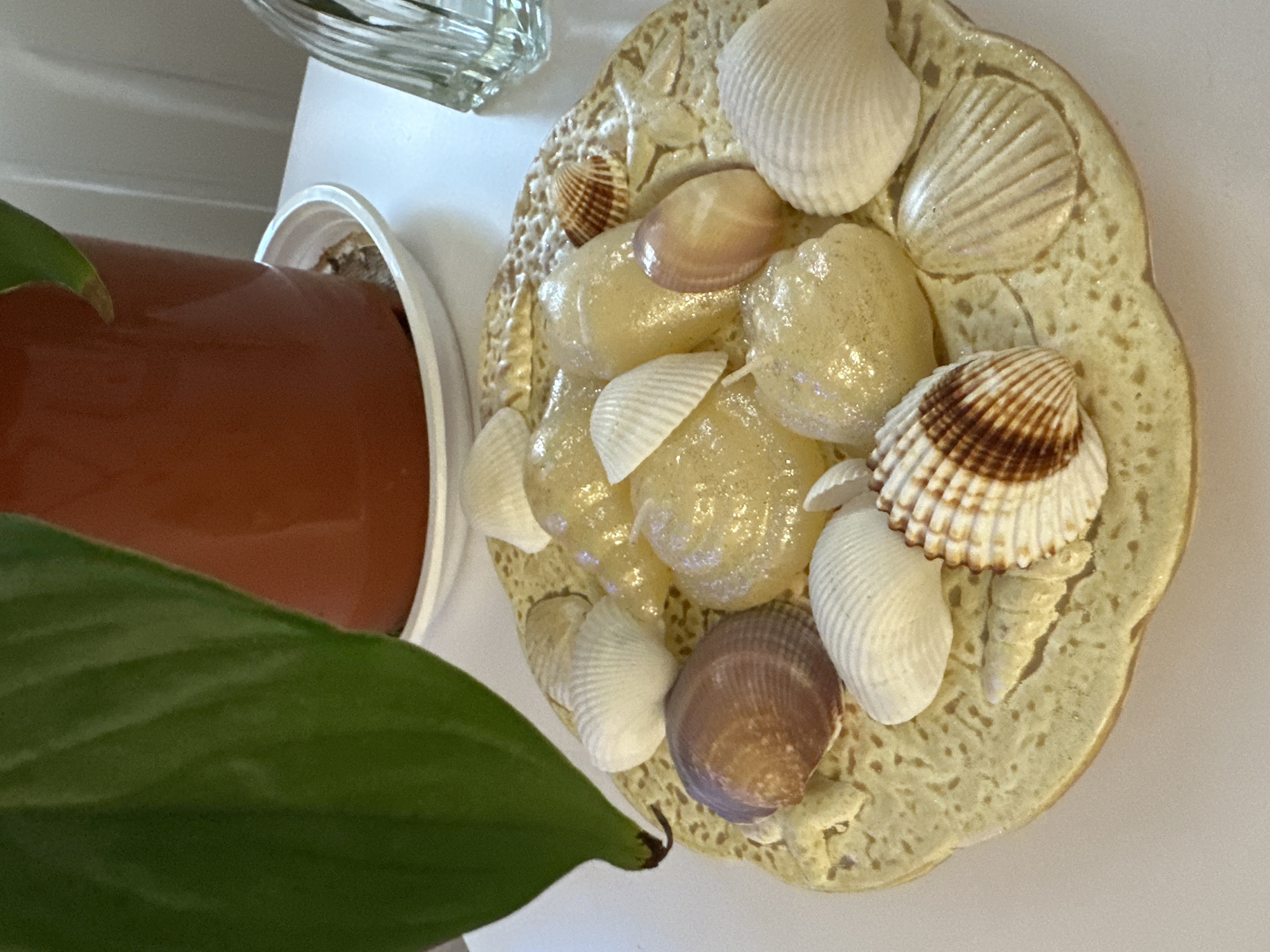 The image shows a decorative plate covered with seashells and small, polished yellow stones. The plate is speckled and shaped like a flower, with a tan color. The seashells are various sizes and colors, including white, brown, and striped. To the left of the plate is the edge of a brown plant pot, with a large green leaf in the foreground. Behind the pot is a clear glass vase, partially visible. The background appears to be a white surface, possibly a shelf or table. There are no people visible in the image. The location in Sofia, Bulgaria, is unknown.