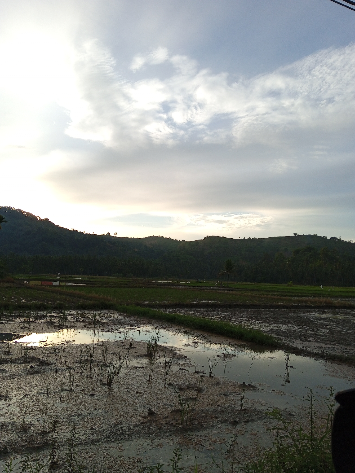 The image depicts a rural landscape in Kruengbeukah, Indonesia. In the foreground, a muddy rice paddy field is partially filled with water, reflecting the sky above. Young rice plants are sparsely scattered throughout the submerged areas. In the middle ground, slightly elevated sections of the field show patches of green vegetation and darker, tilled soil. Beyond the rice paddies, a low-lying mountain range covered in dense vegetation dominates the horizon. The sky is overcast with a mix of white and gray clouds, and the sunlight suggests either sunrise or sunset. No people are clearly visible, although indistinct figures may be present in the mid-ground along with laundry hanging on a line.