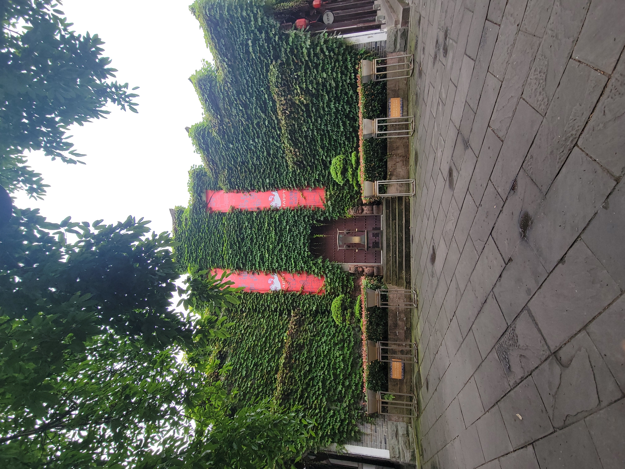 The image depicts a building facade completely covered in green ivy, with two red banners hanging vertically. The building has a dark wooden door and a short flight of stairs leading to it. The street in front of the building is paved with dark grey rectangular stones. There are three metal framed planters with flowers or shrubs along the side of the stairs. Part of a tree with green leaves is visible on the left side of the frame. The location is in the city of Hechuan, China.