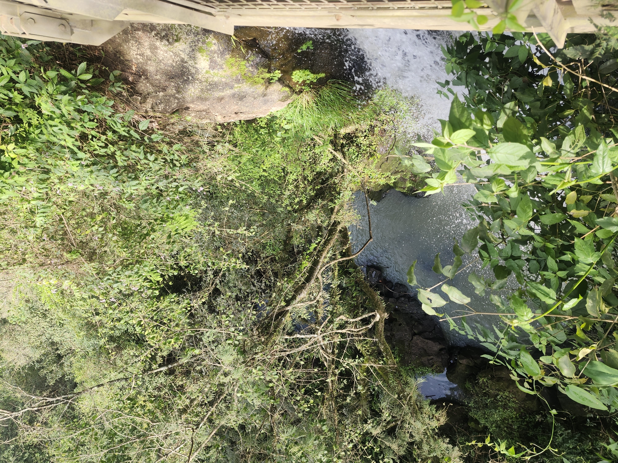 The image captures a view of a waterfall from an elevated vantage point, likely a walkway or platform. Lush green foliage surrounds the scene, with dense trees and vines hanging over the water. The waterfall itself is a cascade of white water tumbling over dark rocks into a pool below. A section of a light-colored railing, possibly made of metal or wood, is visible on the right side of the frame, indicating a man-made structure for observation. The water appears clear and turbulent where it falls, transitioning to a calmer, darker surface in the pool. The natural environment suggests a location with abundant rainfall and vegetation. This scene is consistent with the natural beauty of Iguazu National Park, located near the city of Puerto Iguazú, Argentina, known for its spectacular waterfalls. There are no people or animals visible in the image.