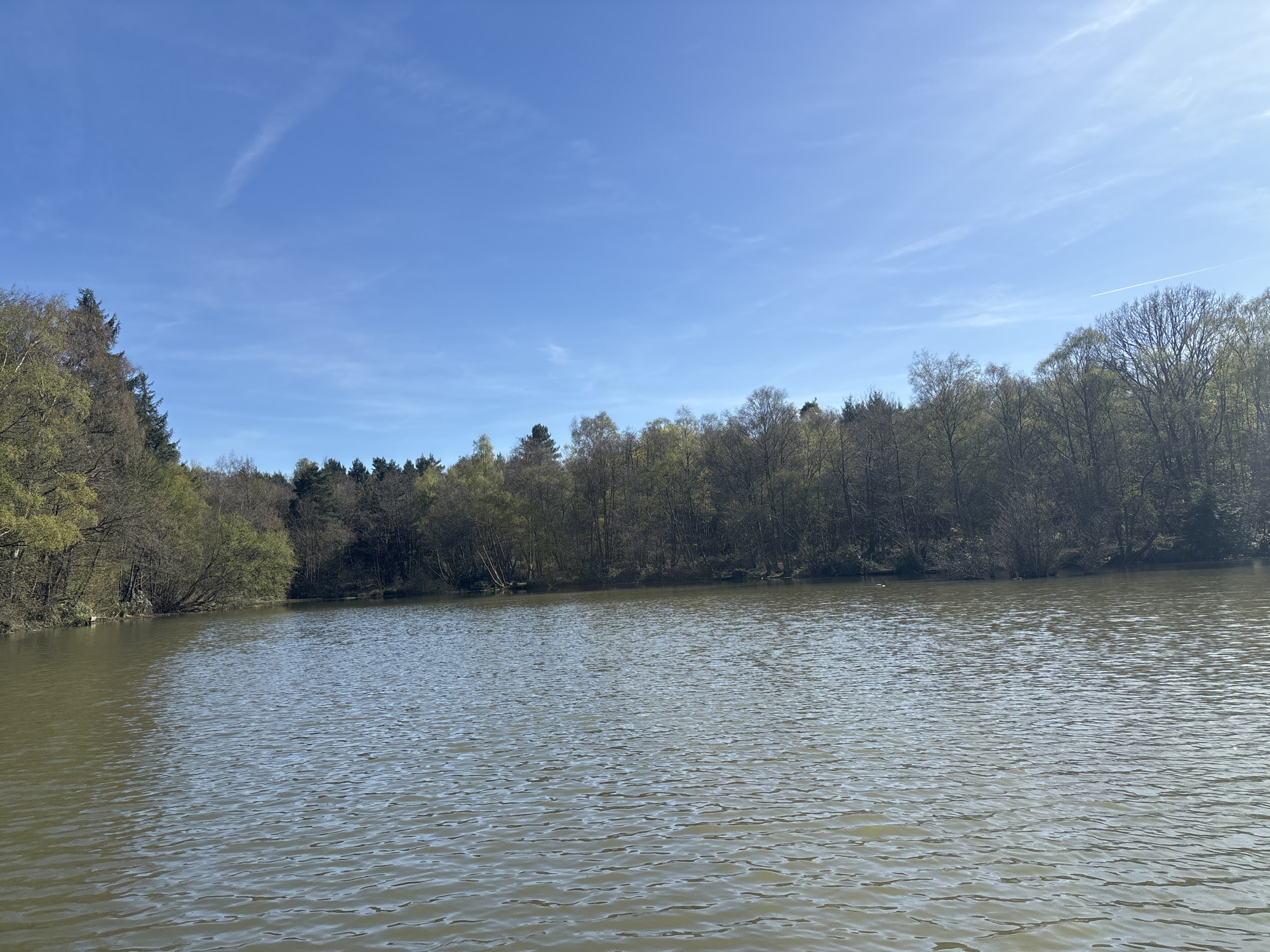 The image depicts a lake surrounded by trees under a clear blue sky with wispy clouds. The water is calm, with gentle ripples across the surface. Trees line the shore. The location is Tilgate Lake in Tilgate Forest, Crawley, United Kingdom. No people are visible. There are a few birds on the water.